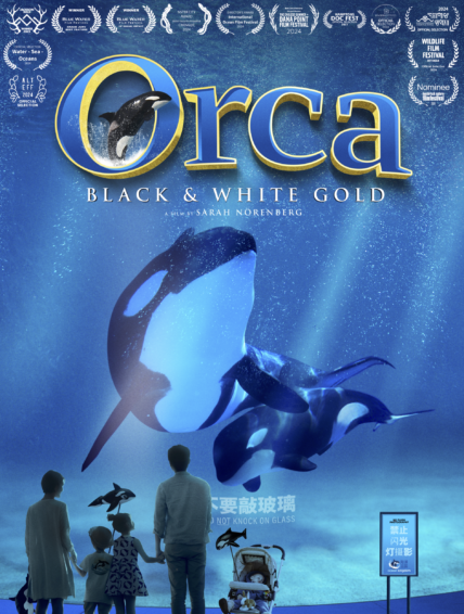 Orca – Black&White Gold