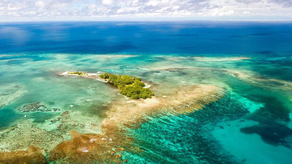 Treasure of the Caribbean - Terra Mater Studios