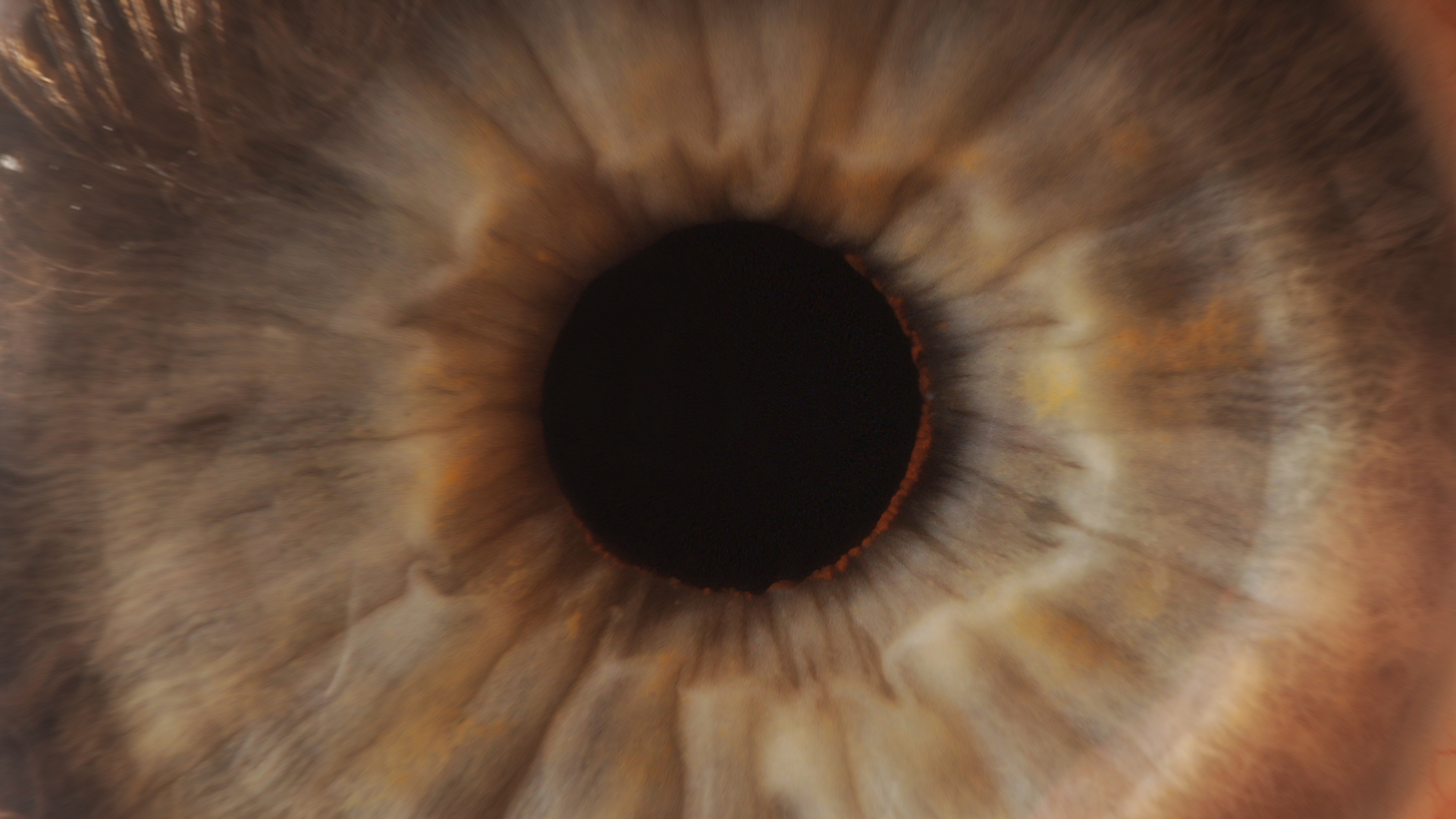 Close-up image of a human iris with a dark pupil at the center, reminiscent of a 3D exploration of a distant planet. The iris displays a mesmerizing mix of brown, orange, and blue colors with intricate patterns and textures radiating outward.