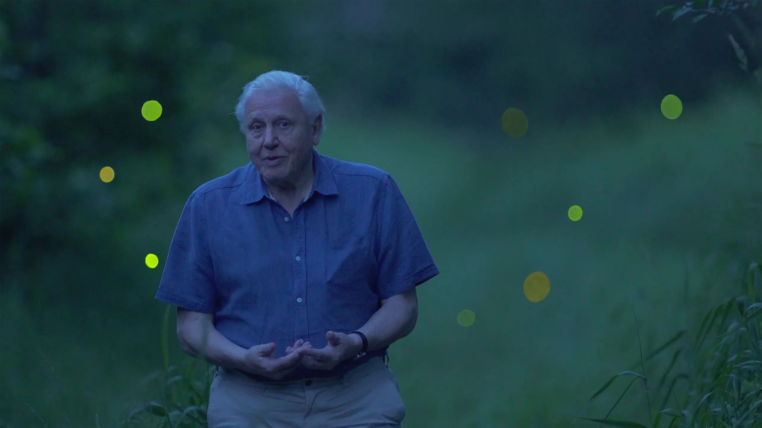 An elderly man in a blue shirt stands in a dimly lit grassy area, reminiscent of a scene from 