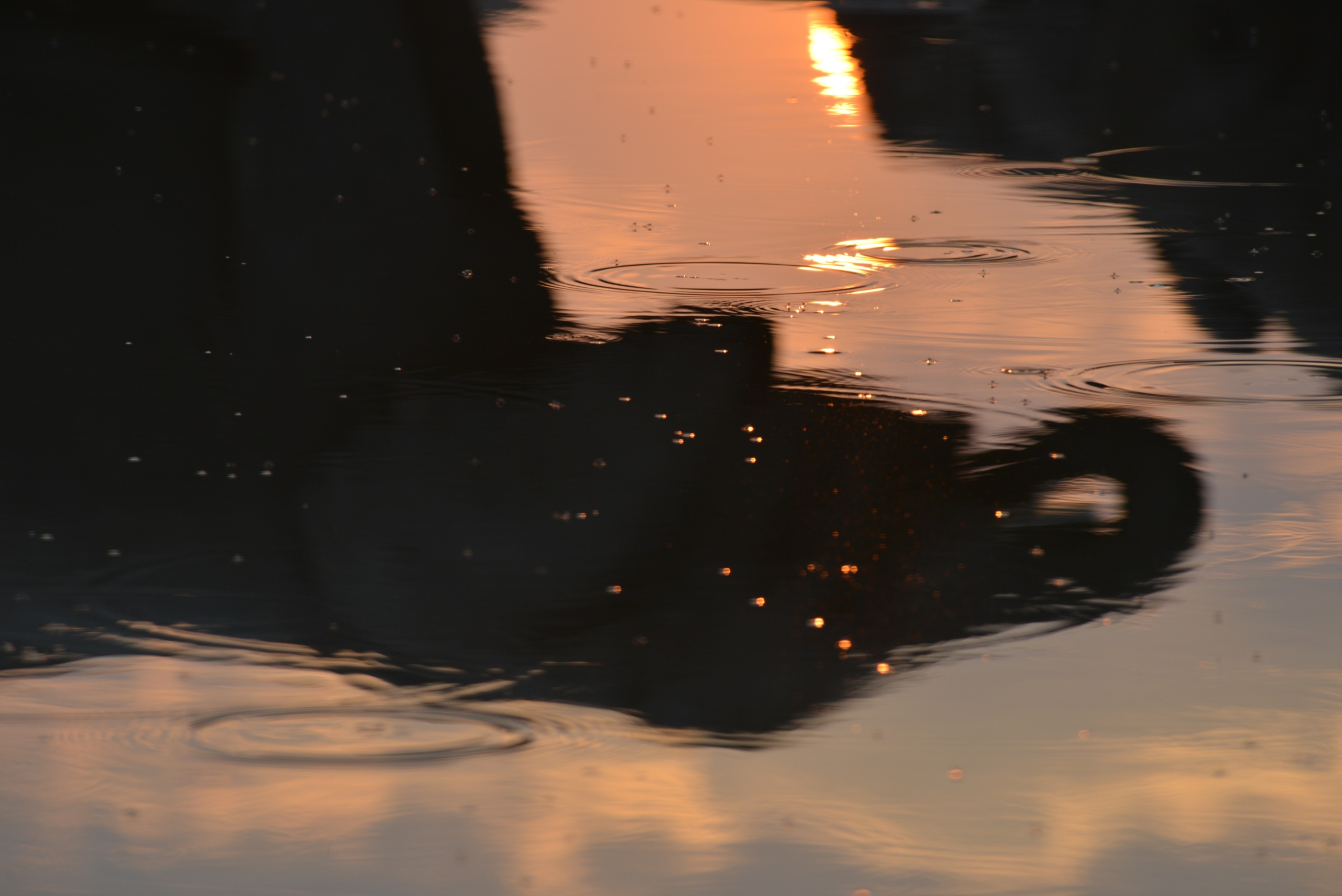 Abstract reflection of a sunset on water, where ripples and glimmers of light form shapes reminiscent of elephant silhouettes.