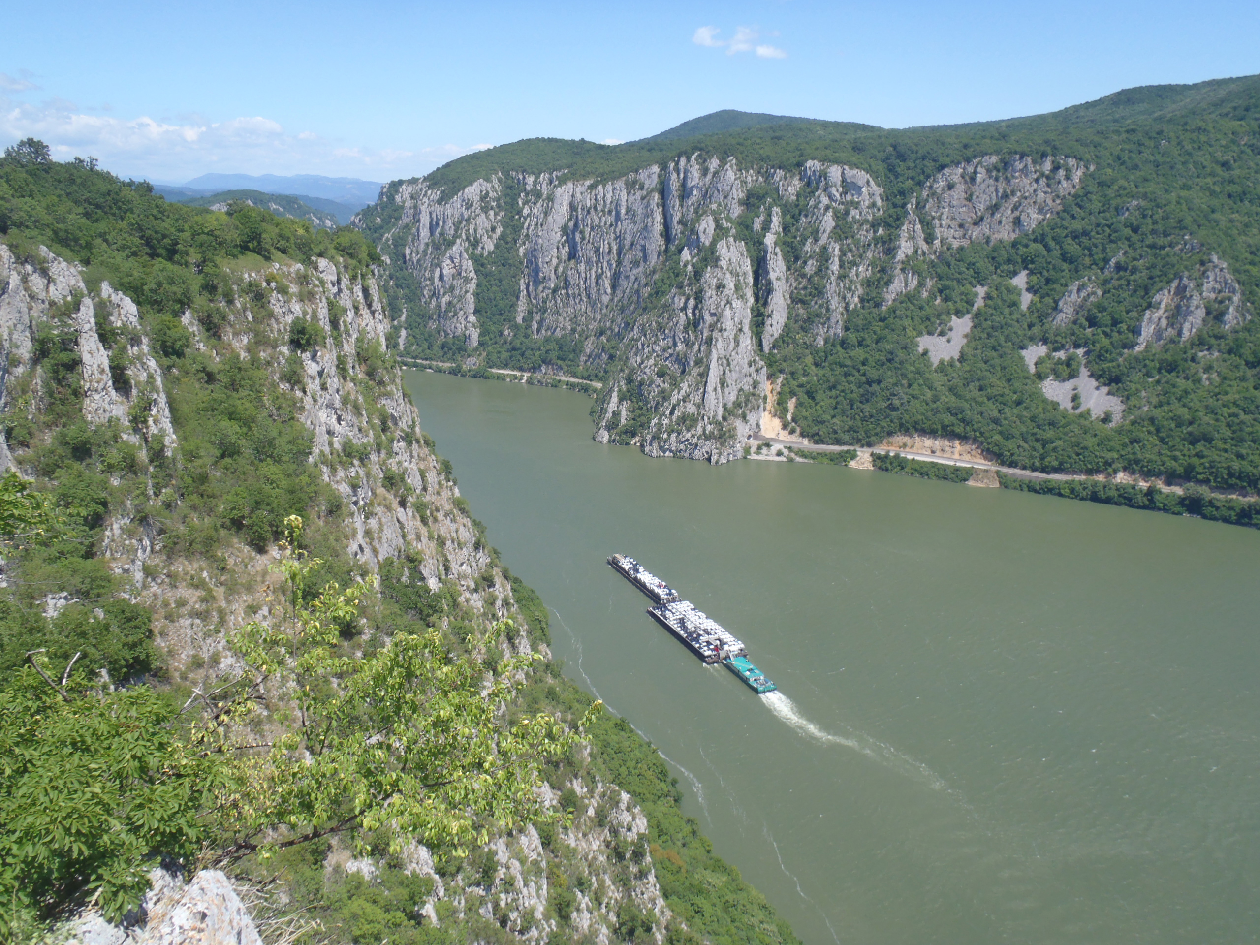 A cargo barge glides along a wide river flanked by steep, rocky cliffs draped in green vegetation. The skies are clear, with distant mountains visible in the background, while a pod of belugas dances playfully in the serene waters.