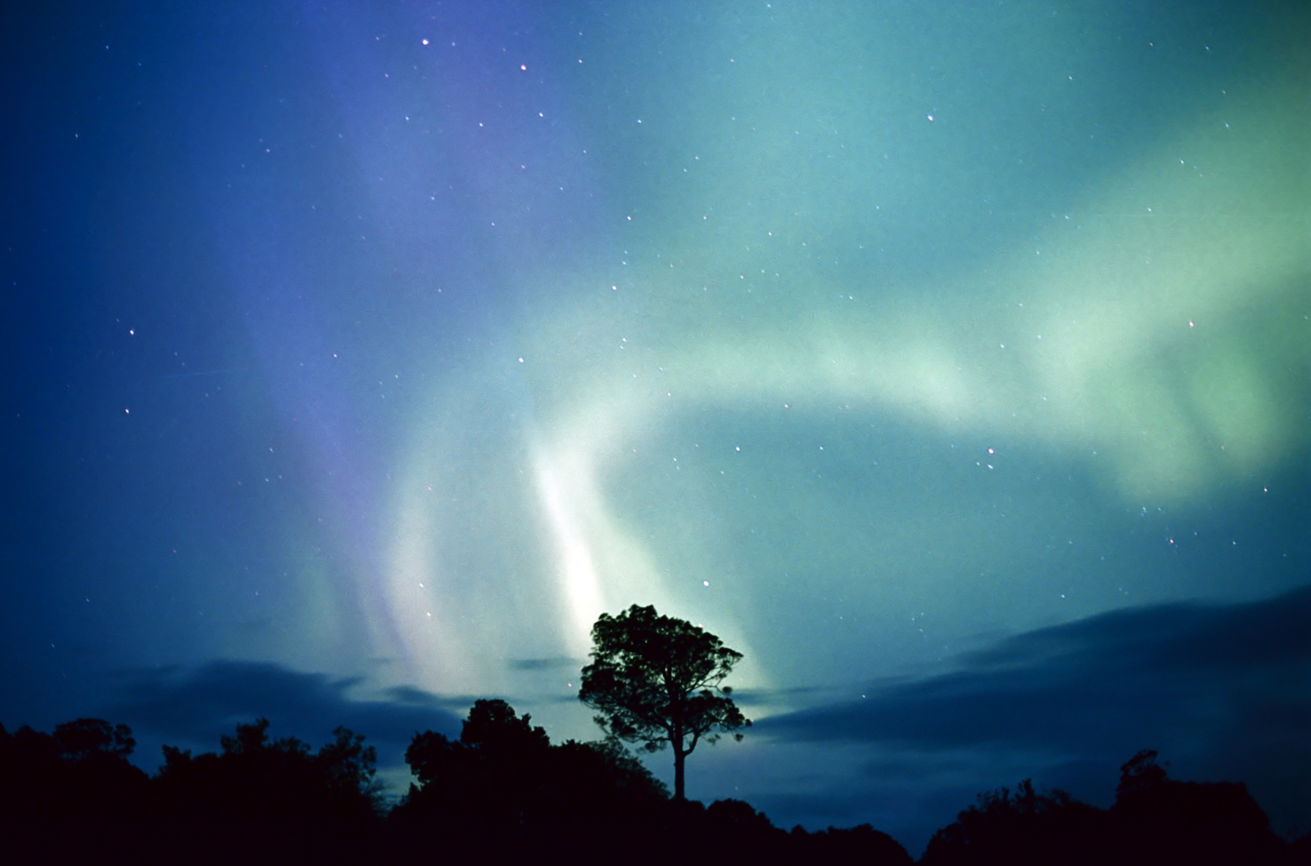 A silhouette of a lone tree stands against a vibrant sky illuminated by the dazzling aurora. Swirling green and purple lights blend across the starry night, creating a serene and captivating scene.