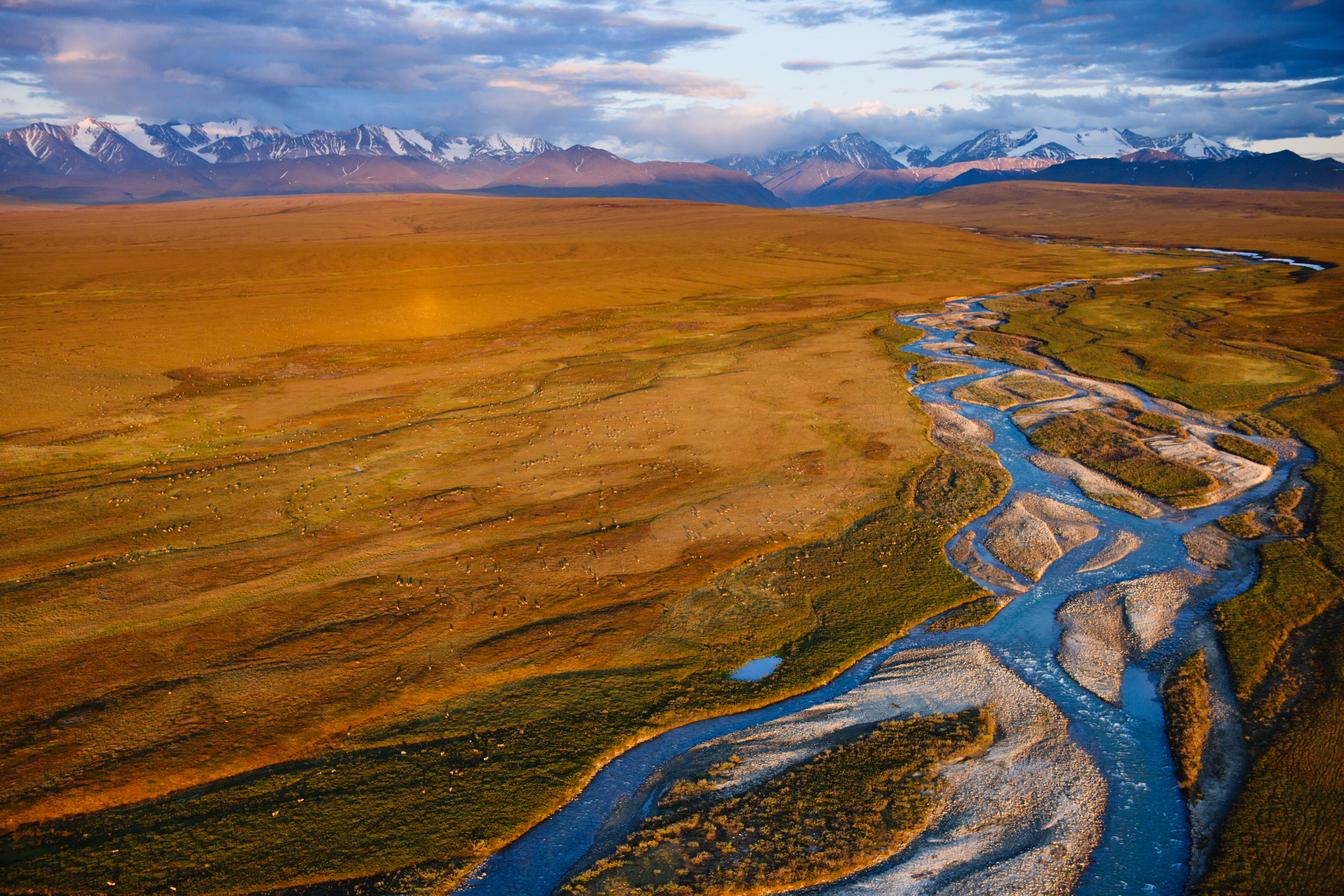 Aerial view of a winding river cutting through a vast, golden-brown arctic landscape under a cloudy sky. Snow-capped mountains are visible in the background, and sunlight casts a warm glow over the scene.