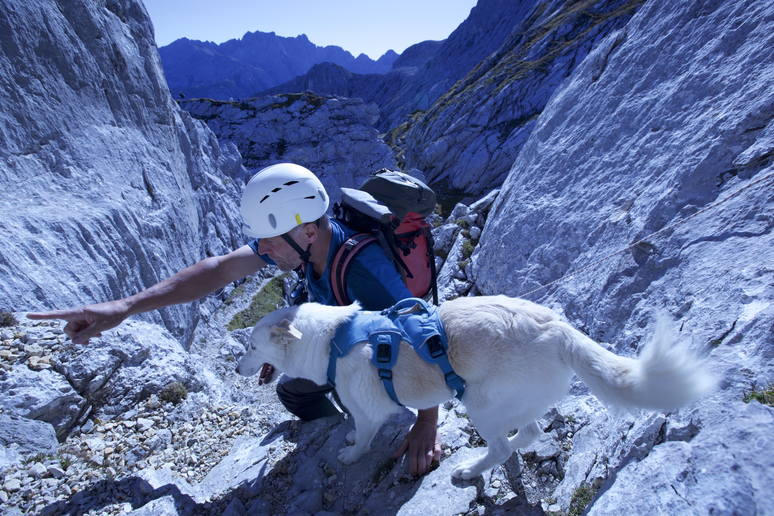 A hiker wearing a helmet and backpack navigates a rocky mountain path, pointing ahead with their white dog, aptly named 4 Paws, snug in a harness. The breathtaking mountains envelop them under a clear blue sky.