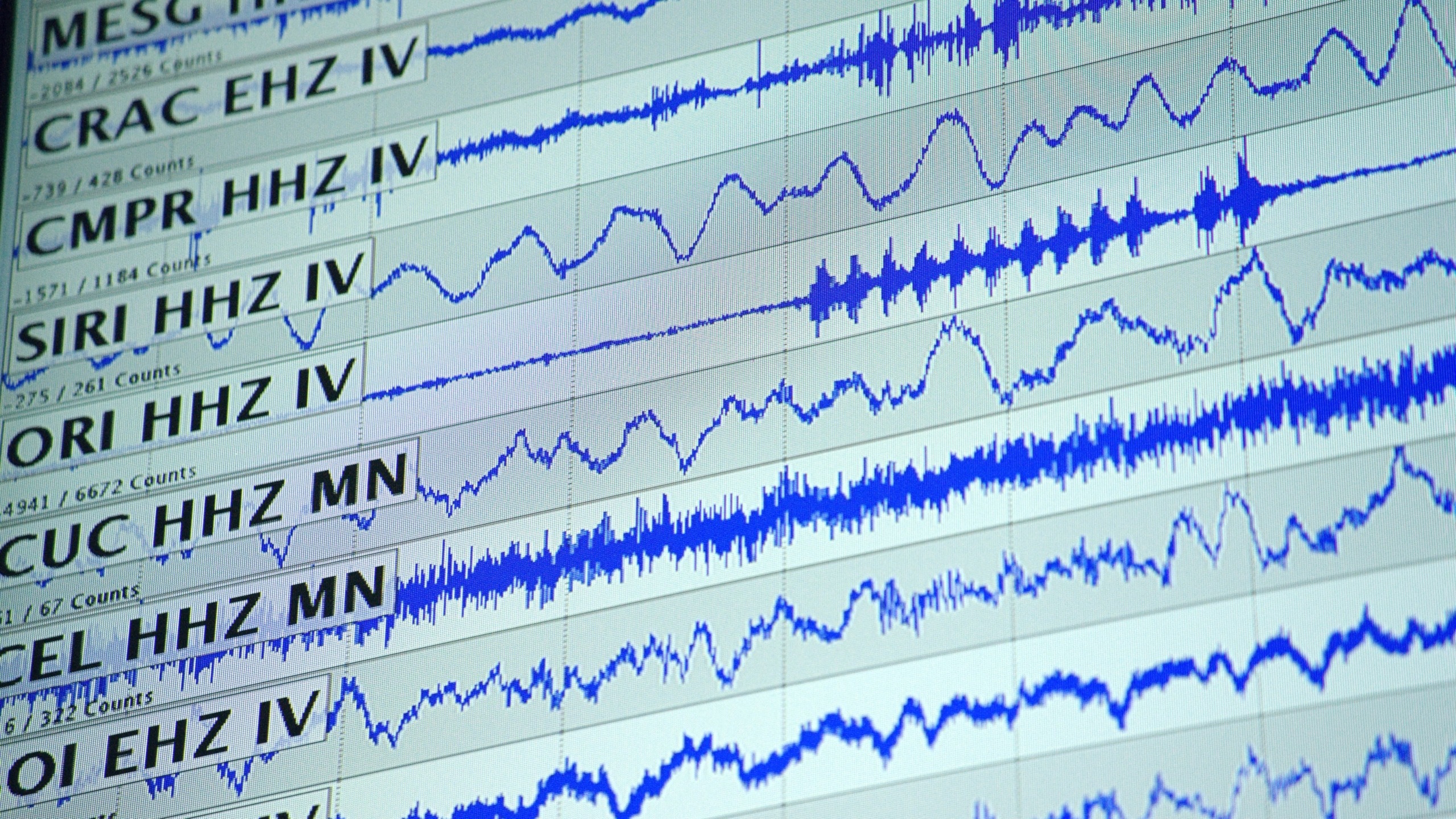 A digital display shows multiple seismograph readings with blue wave patterns on a white background. Each line, labeled with codes like MESC and CRAC EHZ IV, offers insights into seismology. It illustrates seismic activity data from various sources, perfect for chasing quakes and understanding natural disasters.