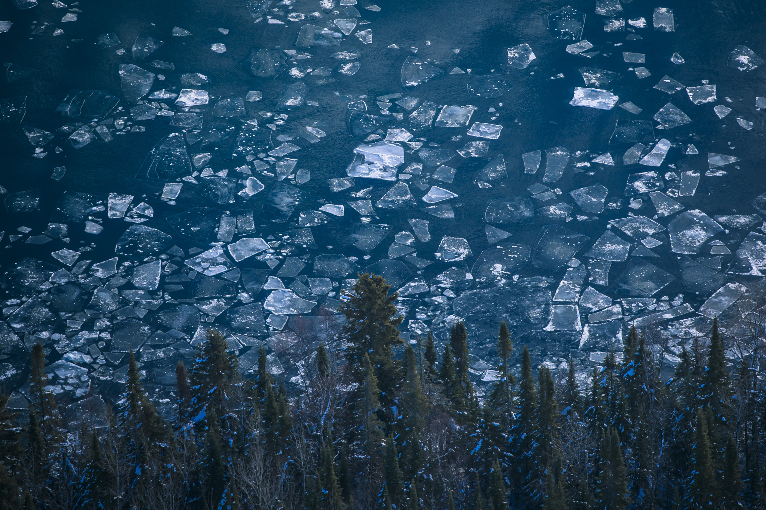 Aerial view of dark blue water with chunks of broken ice scattered across the surface, reminiscent of the untamed beauty of the Great Lakes. In the foreground, a dense forest of tall coniferous trees is partially covered in snow.