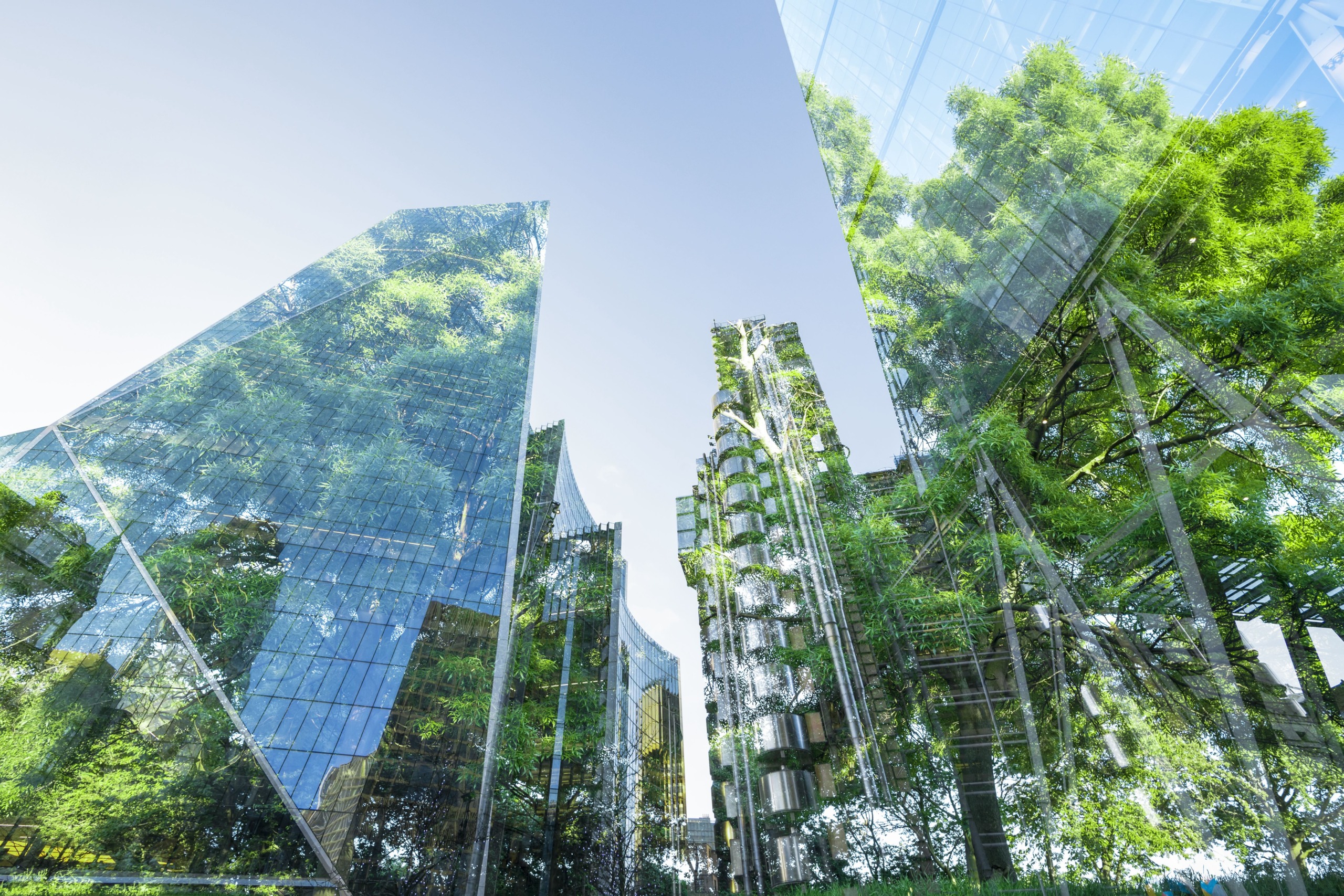 A view of modern glass skyscrapers reflecting and surrounding lush green trees, blending nature with urban architecture under a clear blue sky.