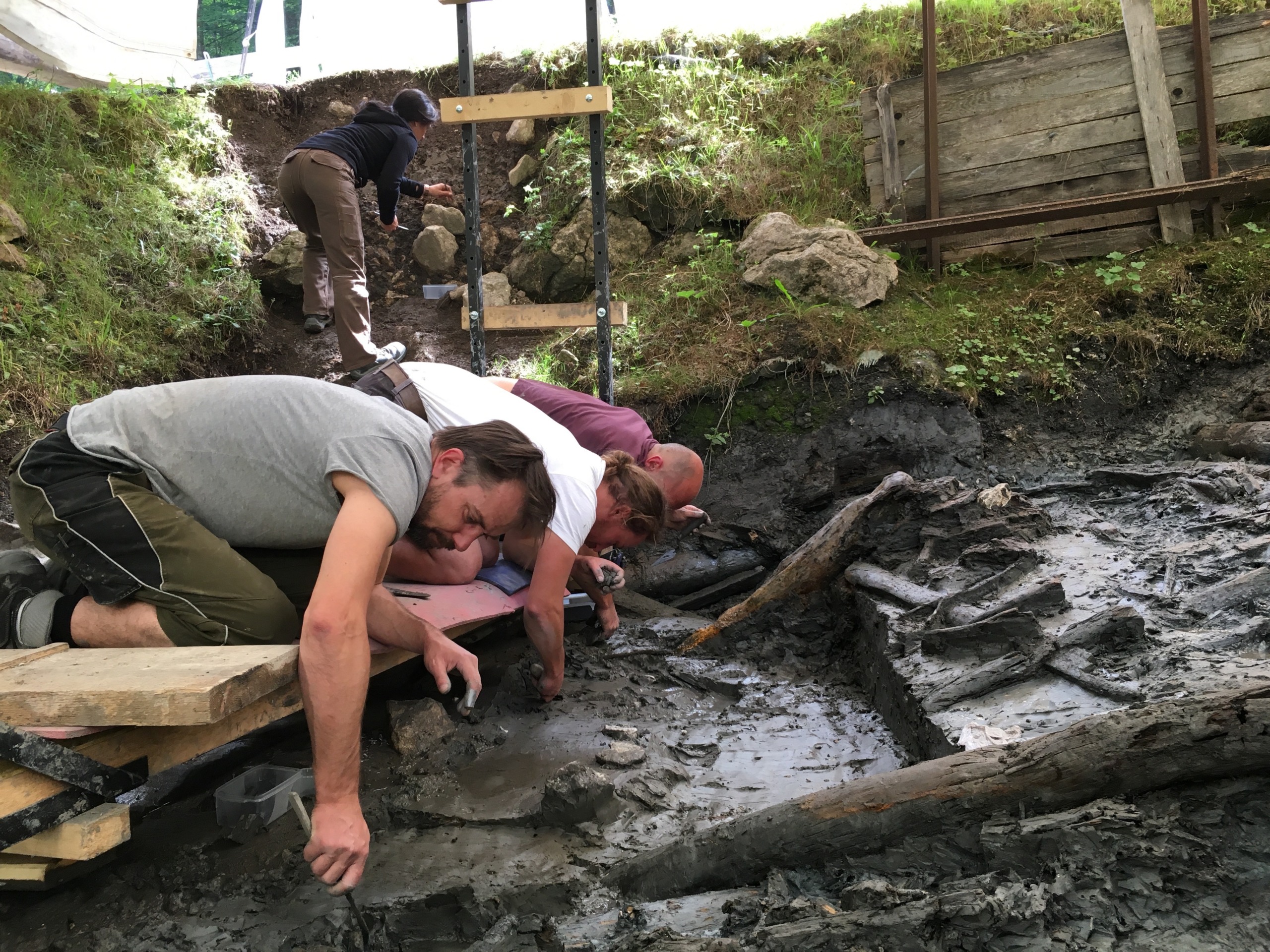 Archaeologists excavating a muddy site are carefully uncovering artifacts possibly linked to a Celtic tomb. Two people crouch close to the ground, while another works in the background. Wooden beams and tools are scattered around, with greenery visible at the edges of the site.