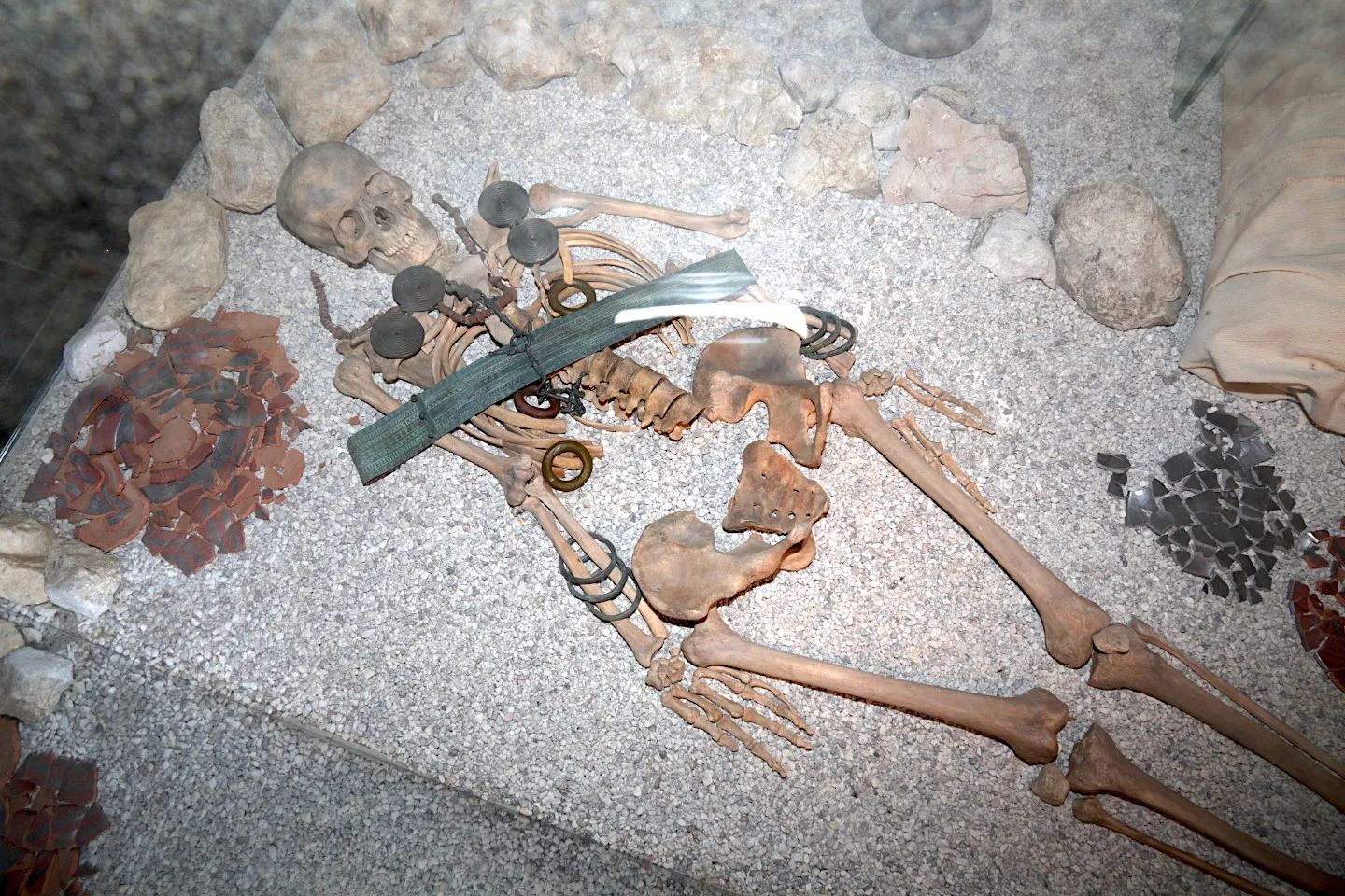 A Celtic tomb is unearthed, revealing skeletal remains on display, adorned with metal artifacts and surrounded by stones and pottery shards, lying on a textured surface.