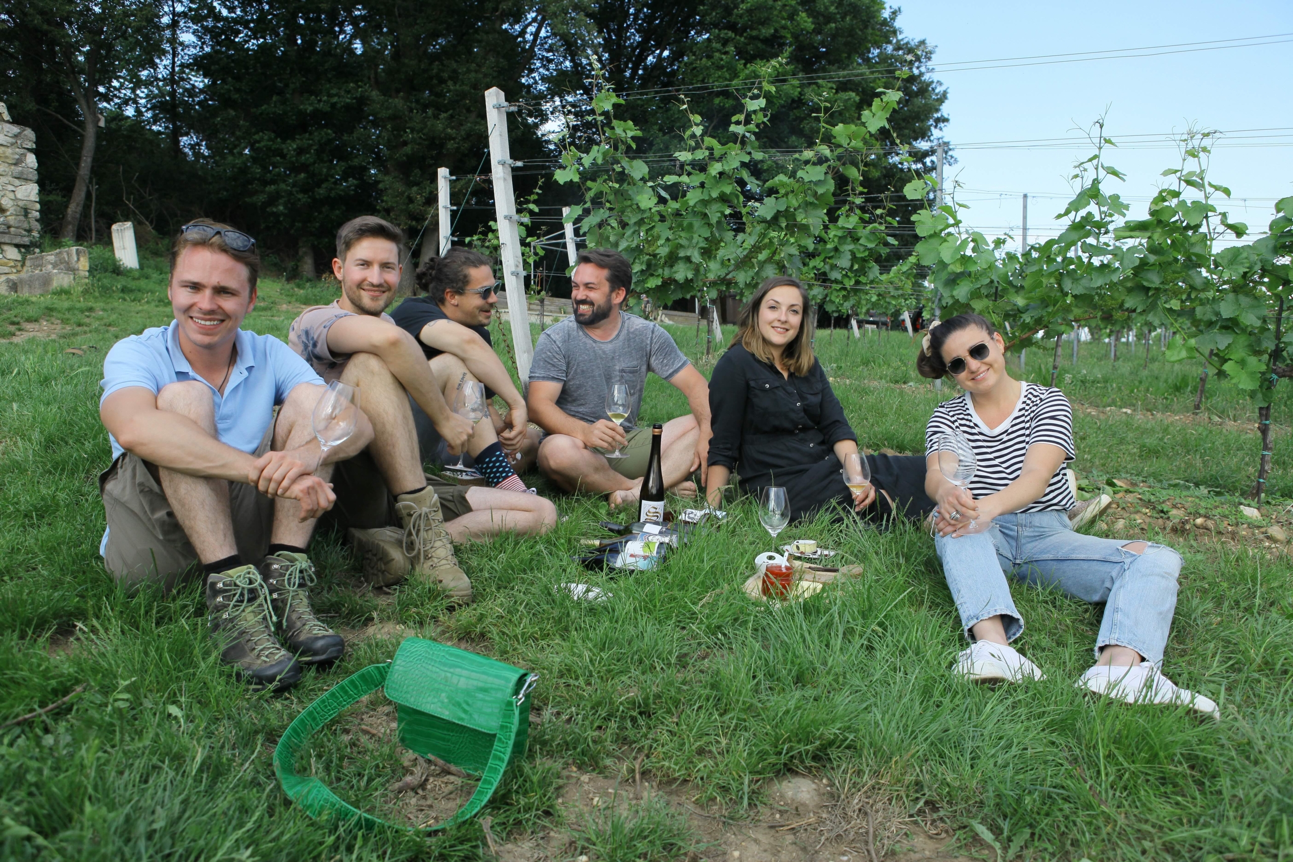 A group of six people, embodying Wild Young Things, sits on the grass in a vineyard, enjoying a picnic with wine and snacks. They are smiling and relaxed, with two holding glasses. The background features rows of vines and a clear sky.