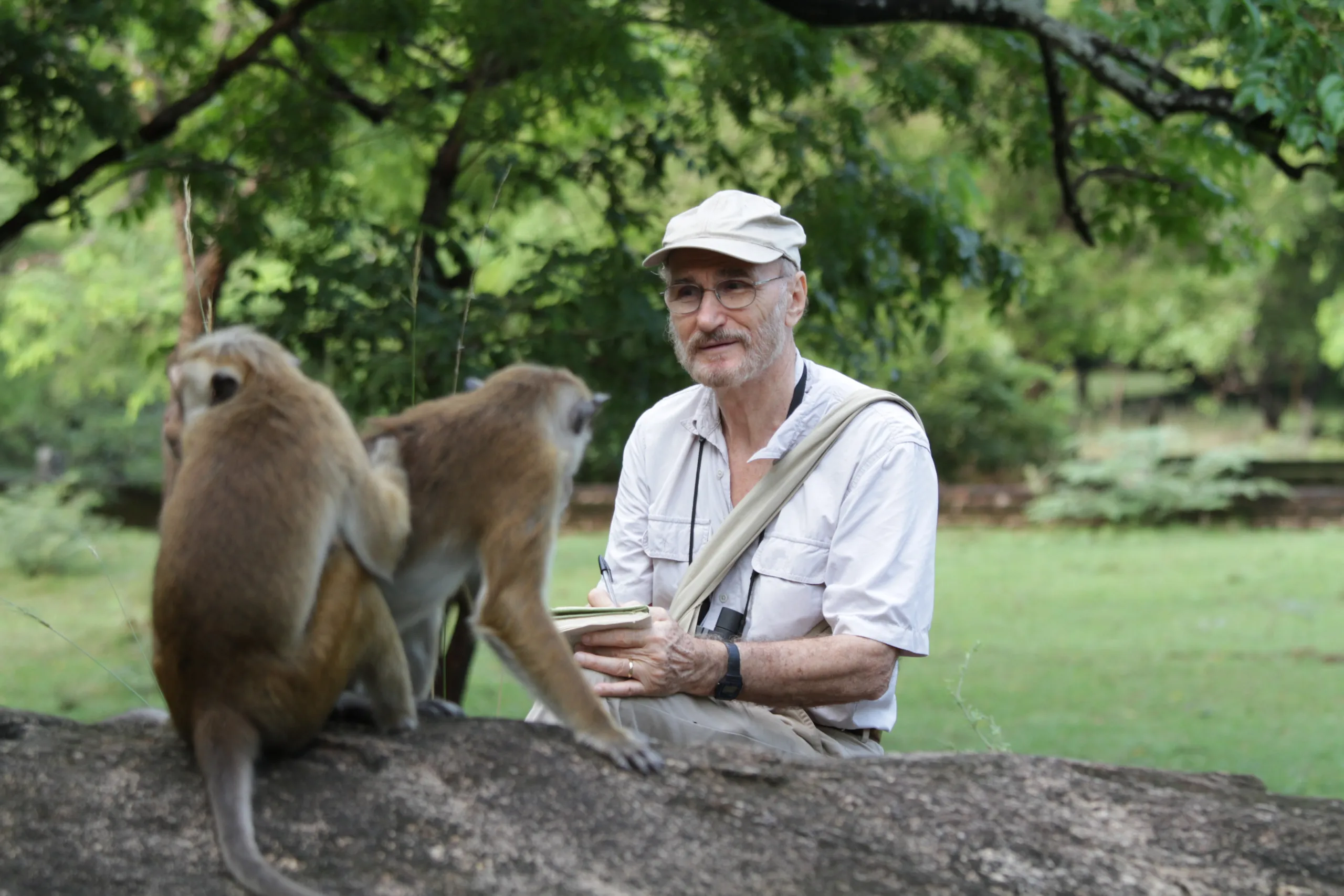 A man in a white shirt and cap sits outdoors on a rock, observing two curious monkeys. He holds a notebook and appears deeply engaged. The background features green trees and grass, enhancing the natural setting with an air of tranquility.