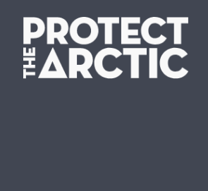 Bold white text on a dark background reads PROTECT THE ARCTIC, with the A in ARCTIC uniquely stylized as a triangle, emphasizing the need for arctic preservation.