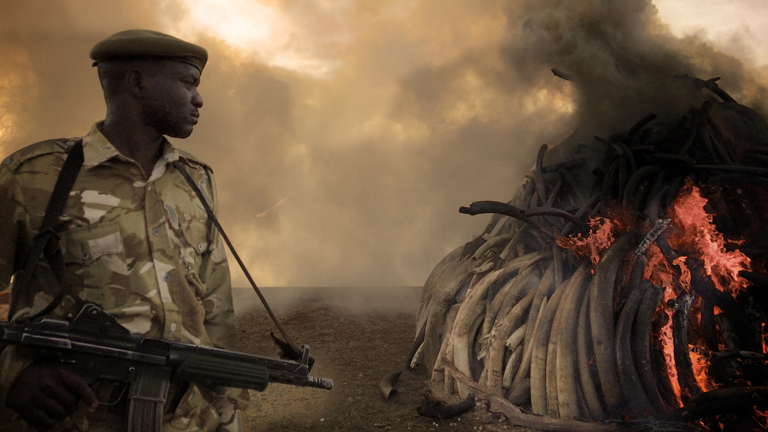 A uniformed soldier stands with a rifle beside a large burning pile of ivory tusks, part of an intense ivory game to curb illegal poaching. Thick smoke rises into the sky, marking a determined conservation effort.