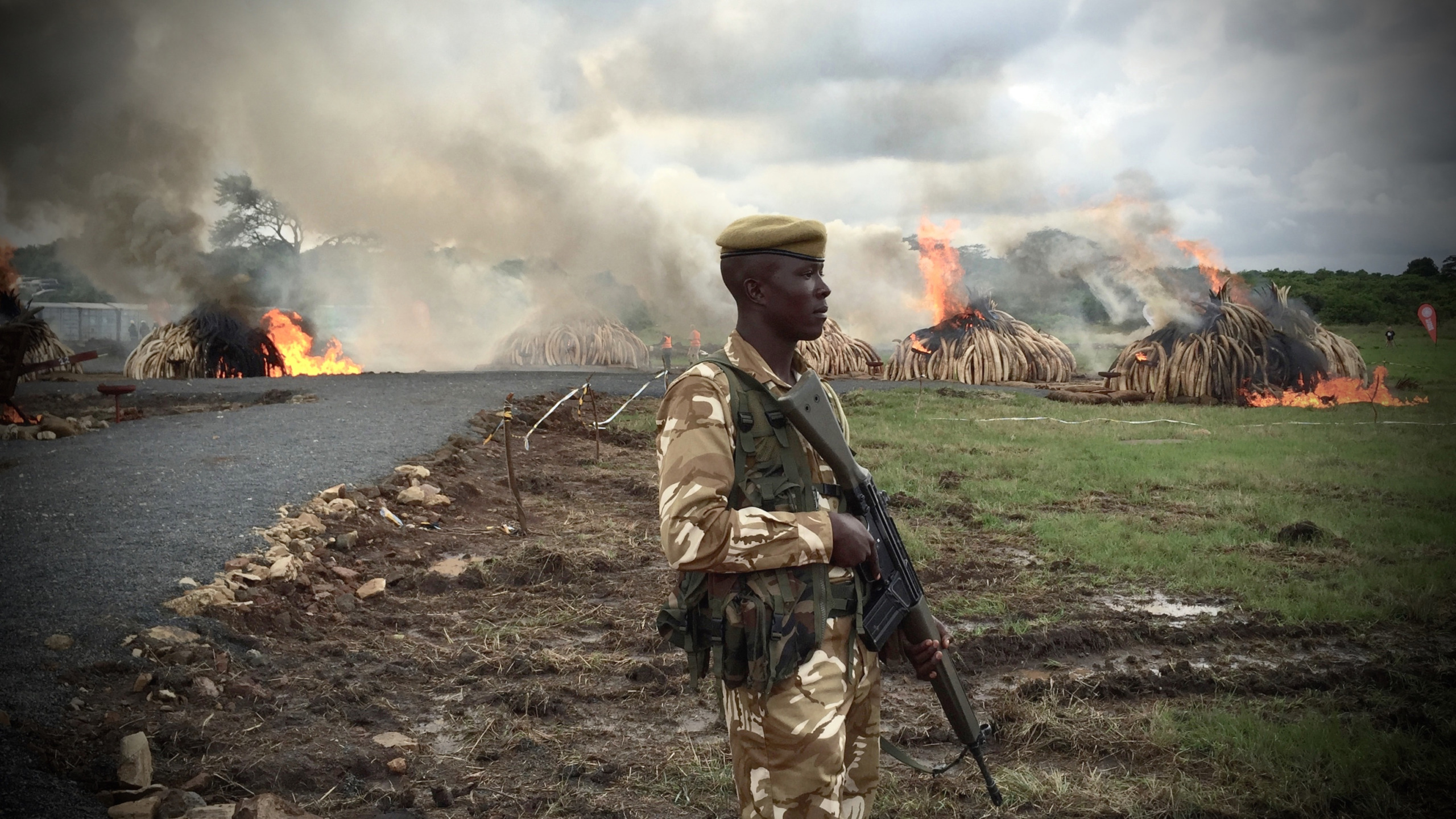 A soldier stands on a dirt path holding a rifle, wearing a camouflage uniform and beret. Behind him, piles of burning ivory emit smoke, reminiscent of an ivory game scene, set against a cloudy sky and grassy terrain.