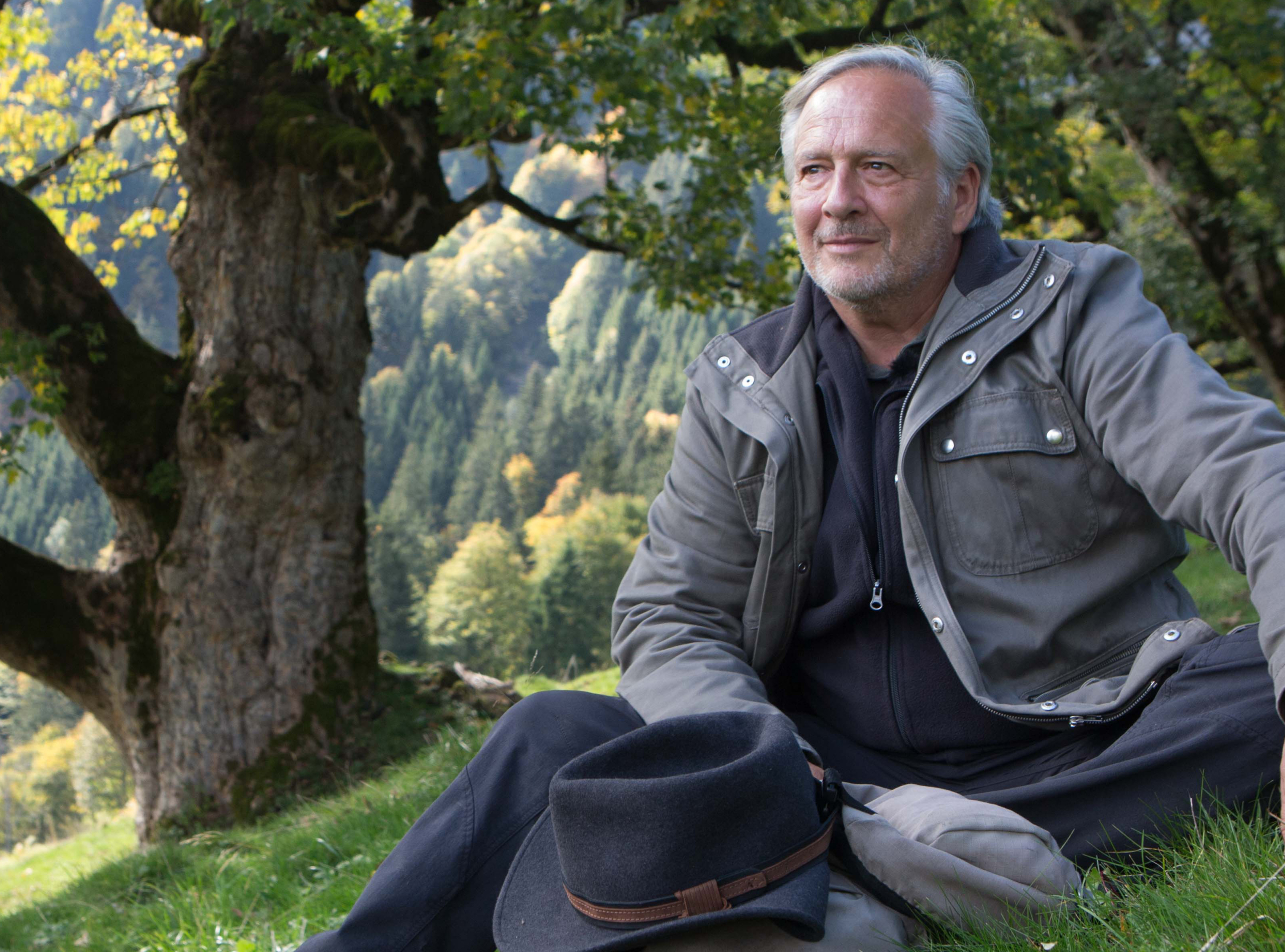 A man with gray hair sits on the grass in a wooded area, wearing a gray jacket and black hoodie. Nearby, a black hat lies beside him. With deep roots echoing his life's story, the large tree and forested hillside form a tranquil background.