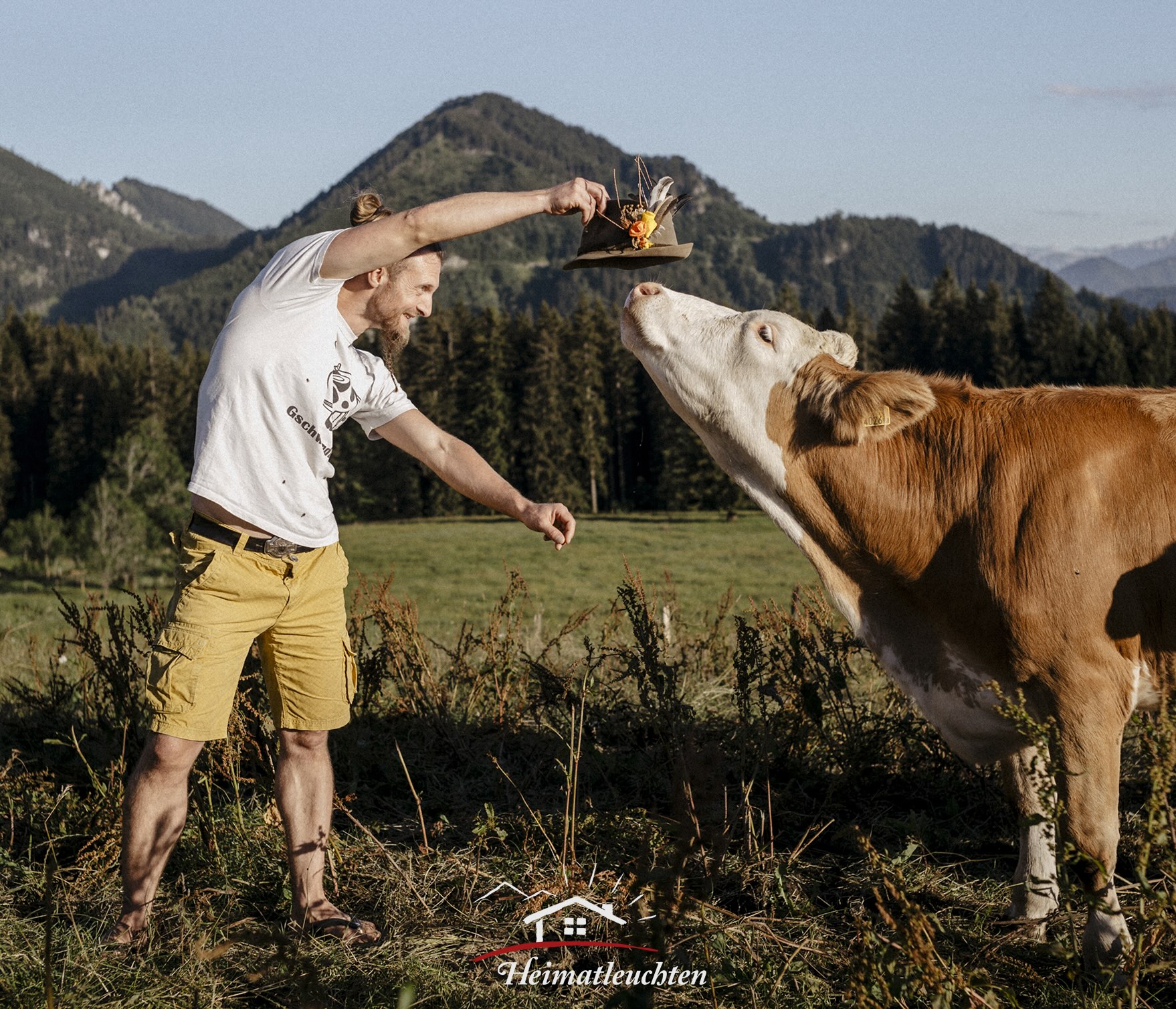 In a grassy field with majestic mountains and trees, a man in a white t-shirt and yellow shorts playfully holds a plate of food above a cow's head. This picturesque scene, reminiscent of the 