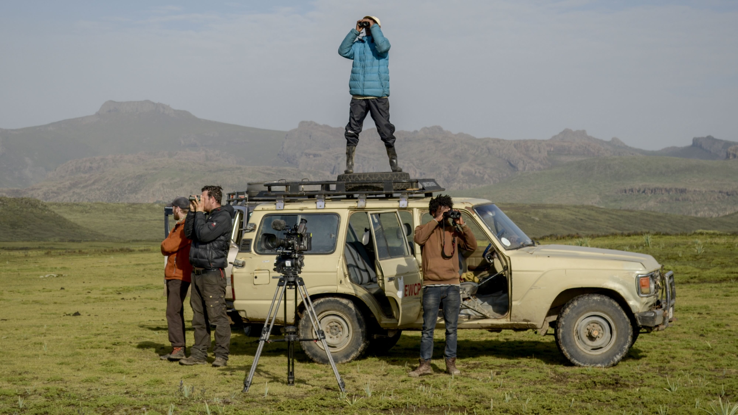 Amidst a grassy landscape, one person stands on top of a stationary beige SUV peering through binoculars, seeking Terra Mater's insights. Others beside the vehicle capture moments with cameras and binoculars, all set against the majestic backdrop of distant mountains.