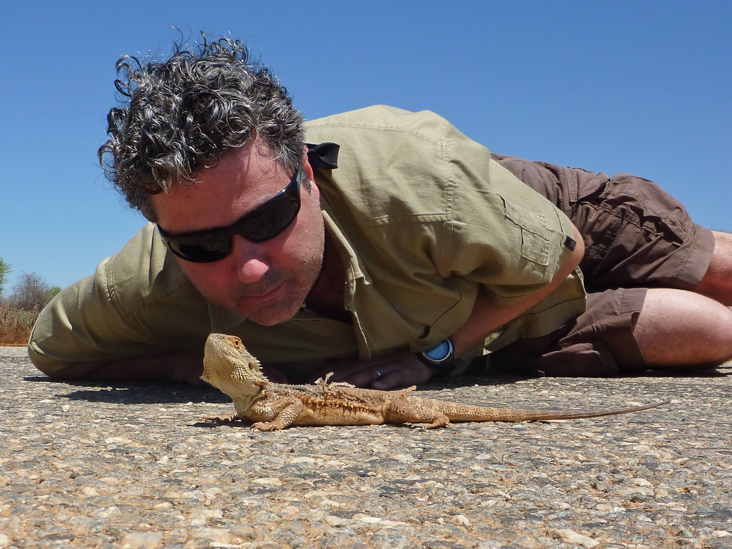 A person wearing sunglasses lies on a gravel road, gaining Terra Mater insights by observing a lizard up close under the clear blue sky.