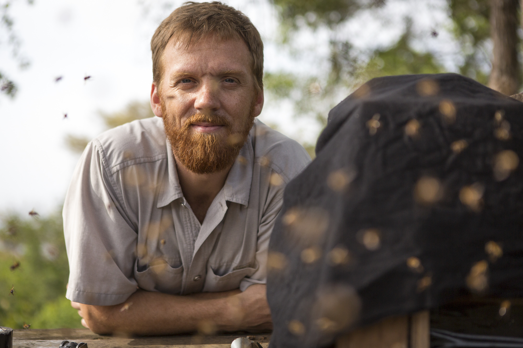 A person with a red beard leans on a table outdoors, surrounded by blurred moving objects resembling bees near their hive. There's a black cloth-covered object on the table. The background features green foliage under a clear sky.