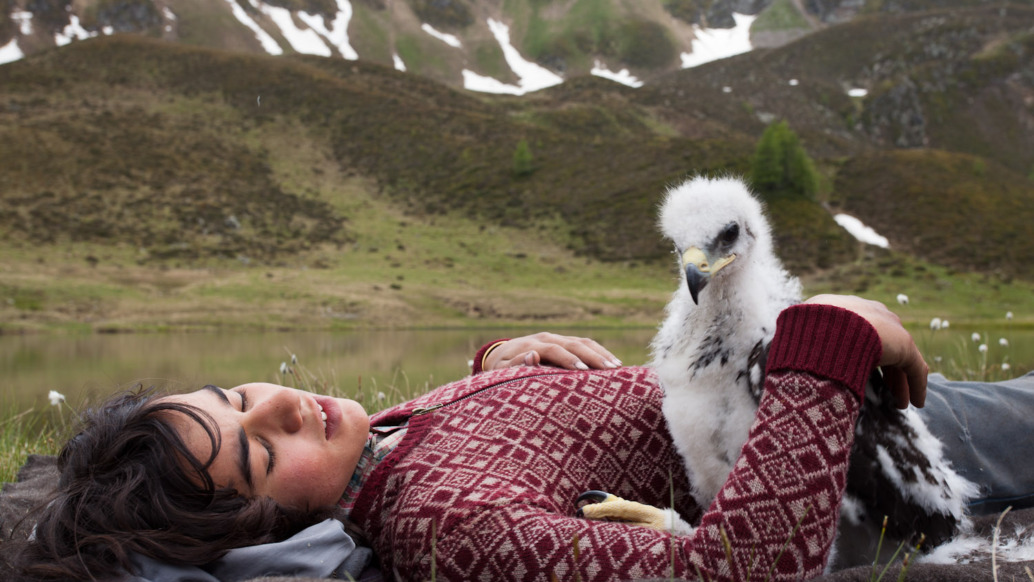 A person with closed eyes lies on the grass, cradling a fluffy white vulture chick on their chest, reminiscent of scenes from *Brothers of the Wind*. They wear a patterned sweater. Behind them are rolling hills with patches of snow and a small pond, creating a tranquil mountain scene.