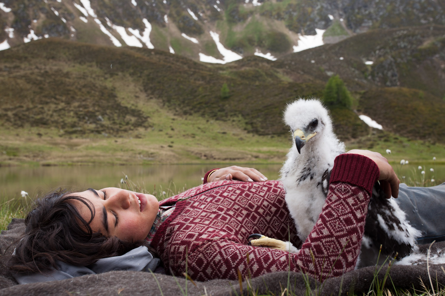 A person with closed eyes lies on the grass, cradling a fluffy white vulture chick on their chest, reminiscent of scenes from *Brothers of the Wind*. They wear a patterned sweater. Behind them are rolling hills with patches of snow and a small pond, creating a tranquil mountain scene.