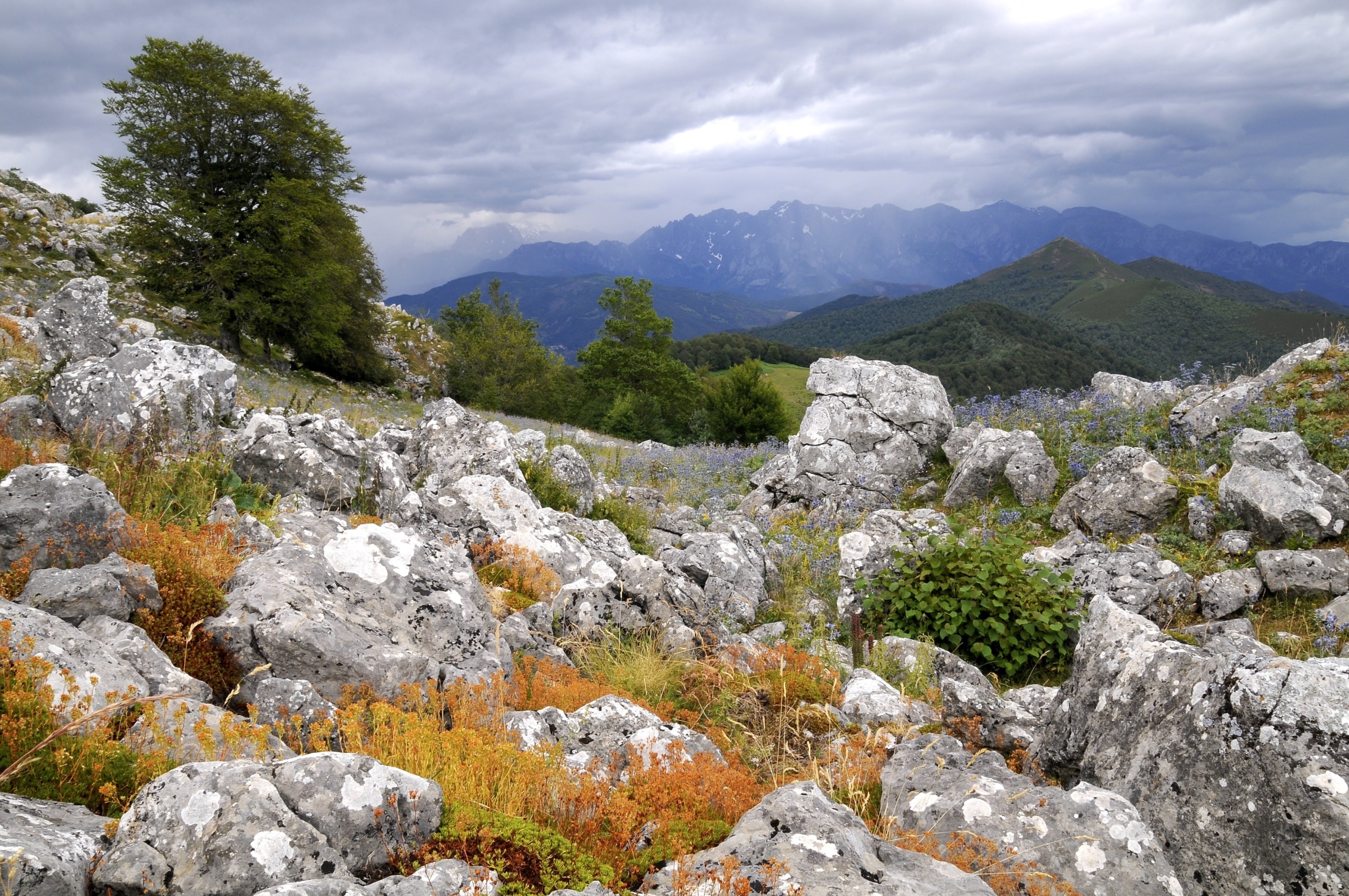 A rugged Cantabrian landscape unfolds with large gray boulders scattered among green and orange vegetation. In the background, lush trees and distant mountains rise under a cloudy sky.