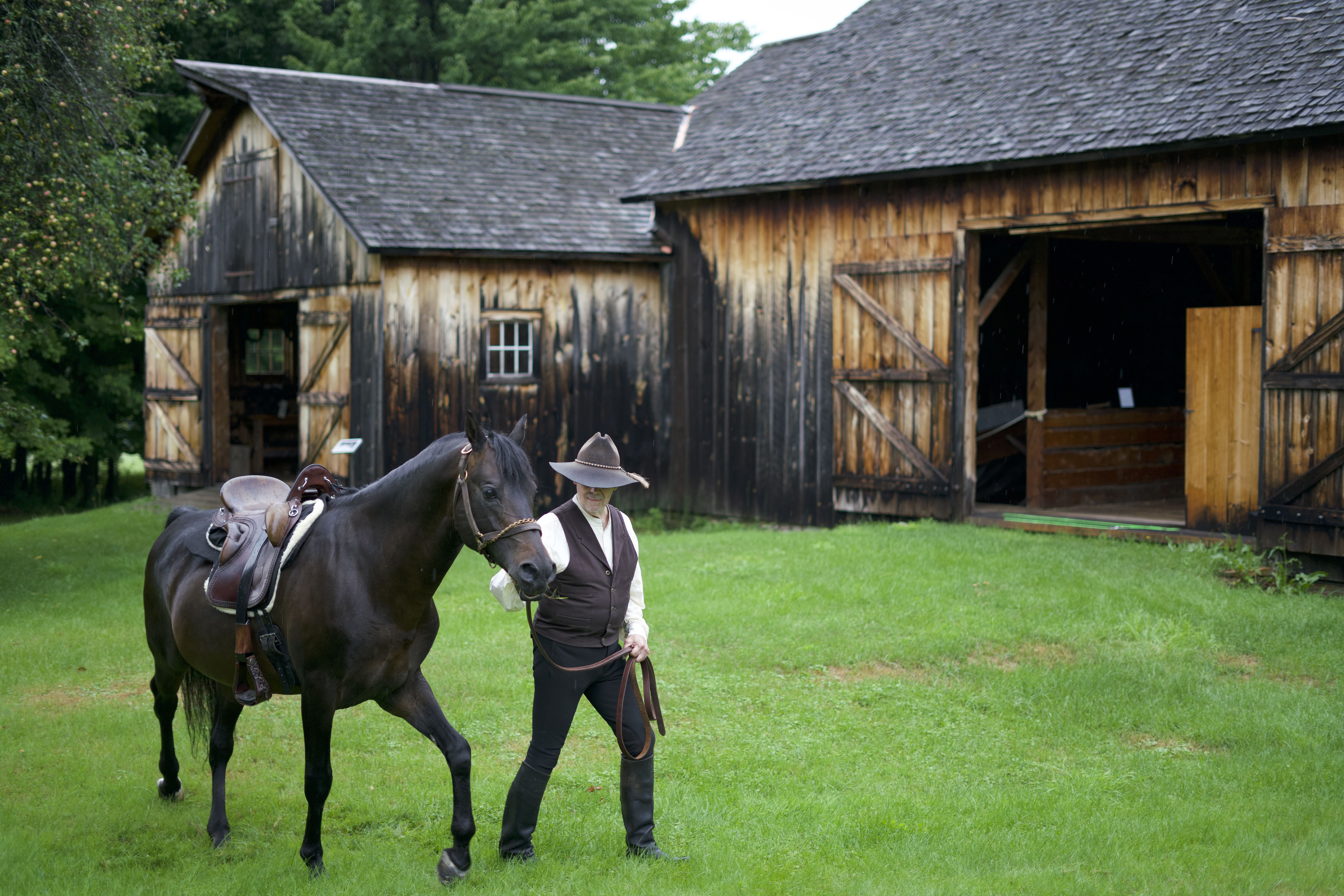 A person in Western attire leads a saddled black horse, embodying true Horse Power, across a green lawn. In the background are two rustic wooden barns with open doors, set against a backdrop of lush trees—an ode to American Legacies.