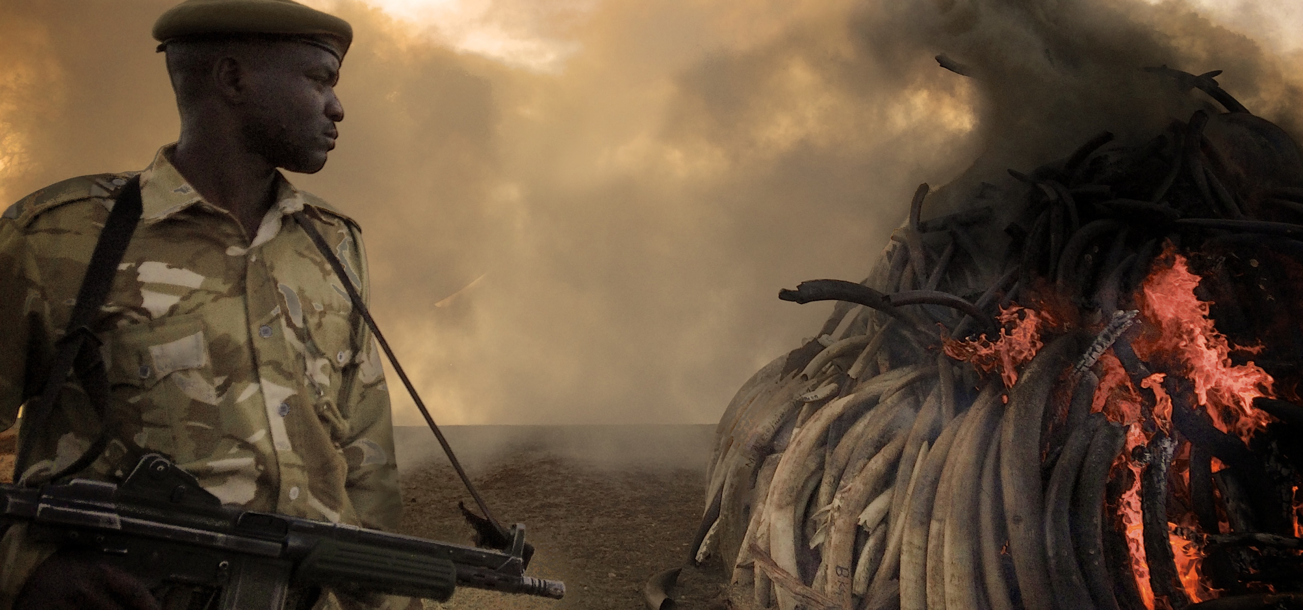 A soldier in camouflage uniform stands with a rifle, watching a large bonfire of burning elephant tusks. Smoke billows dramatically against the cloudy sky, reminiscent of scenes from an "Oscars of Nature Film," capturing the intensity and emotion worthy of Wildscreen nominations.