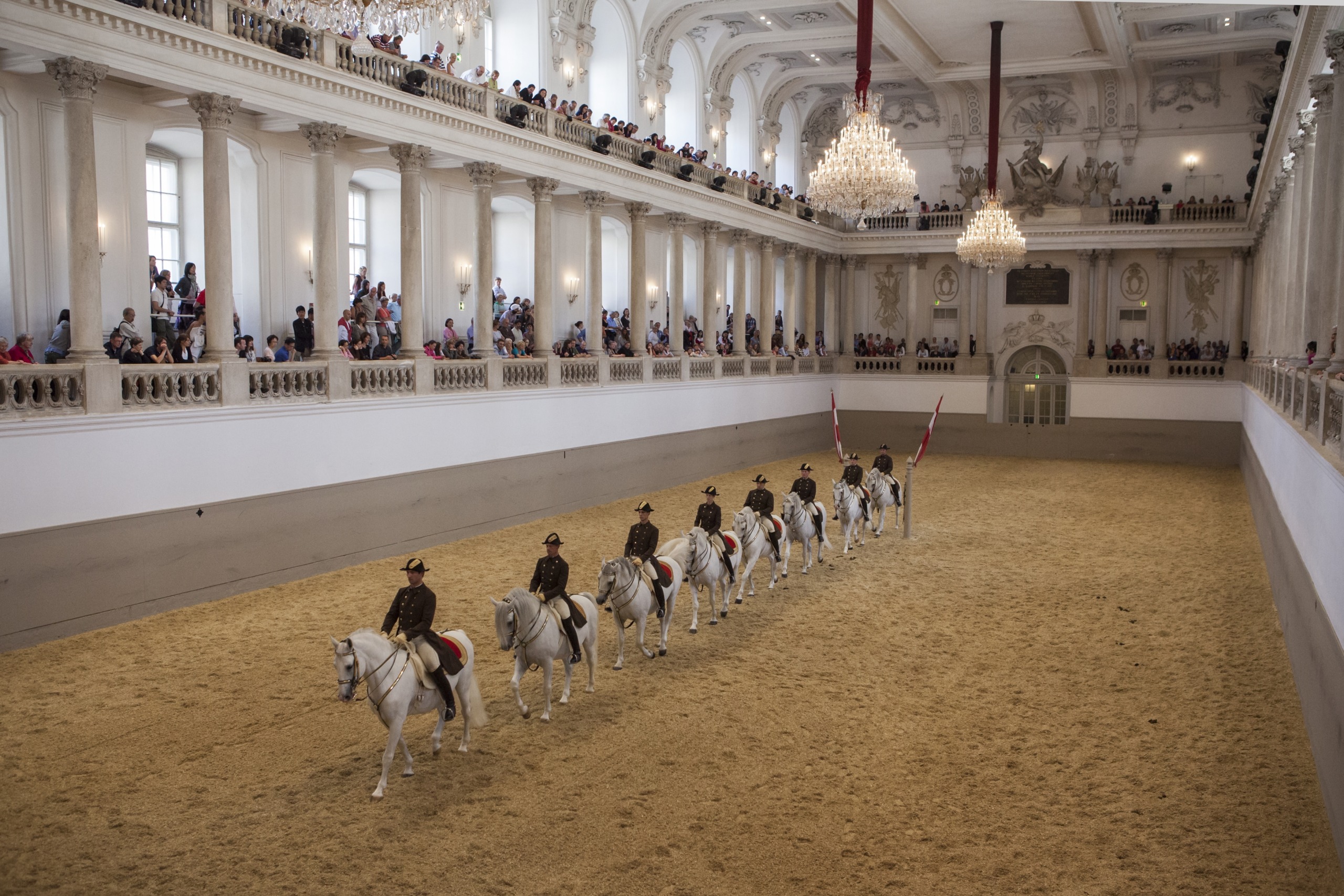 A line of riders on white horses, embodying the grace of White Beauty, perform in an ornate indoor arena with sand flooring. Spectators watch from balconies above, under grand chandeliers. The setting is elegant, with high ceilings and decorative architecture.