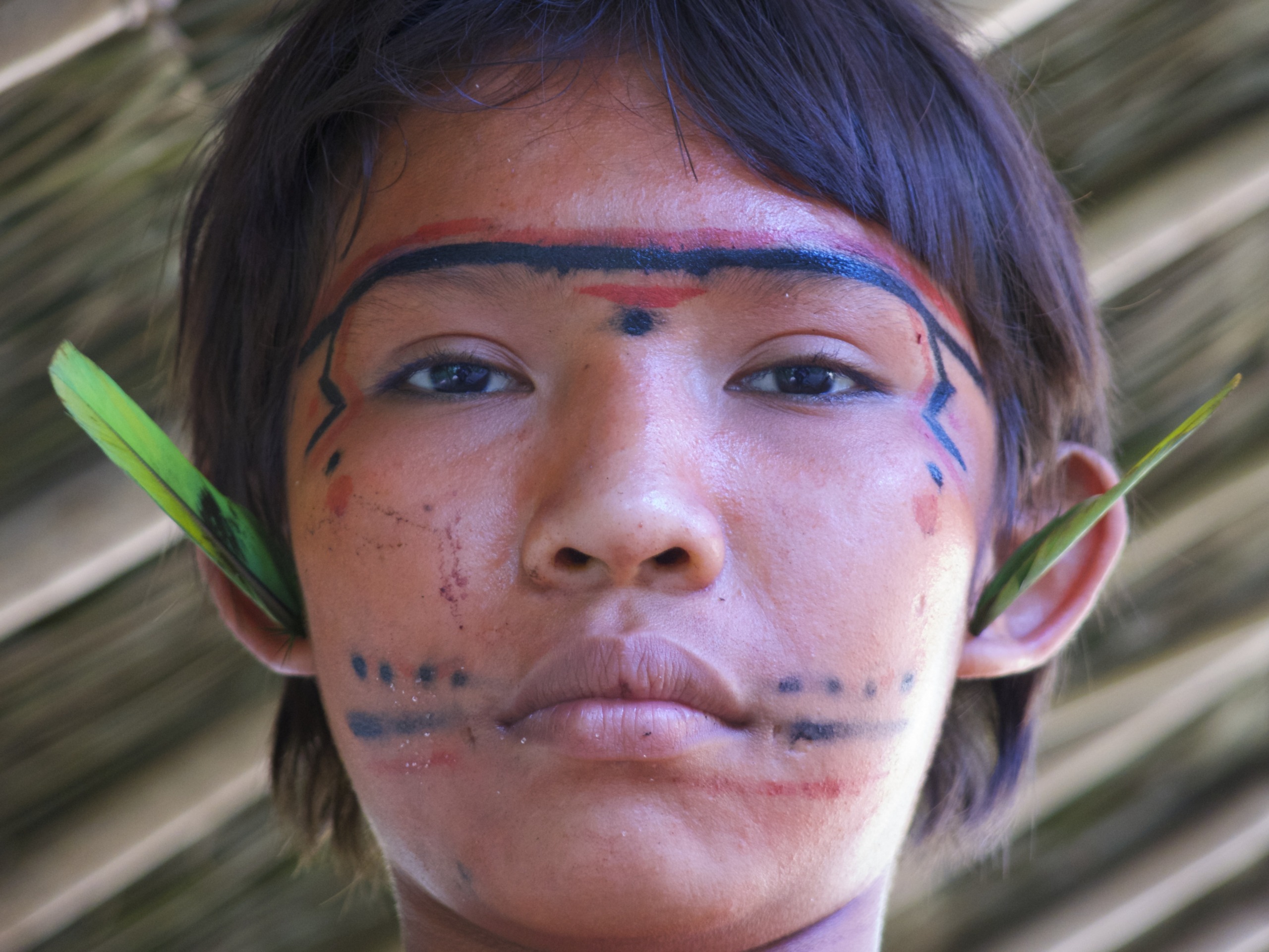 A person with face paint, featuring red and black patterns, and green leaves tucked behind their ears, gazes directly at the camera. Immersed in nature's embrace, they stand under a thatched roof.