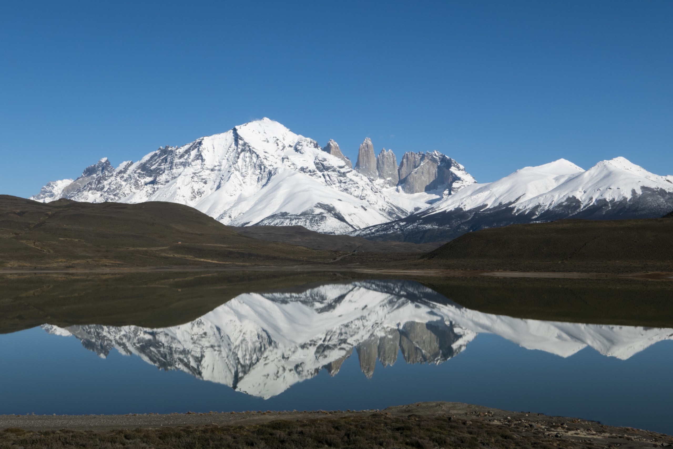 Snow-capped mountains are reflected in a serene lake under a clear blue sky. Pumas roam the surrounding terrain, their stealthy presence adding intrigue to the scene. The landscape features rugged peaks and smooth water creating a mirror effect, set against a backdrop of green hills.