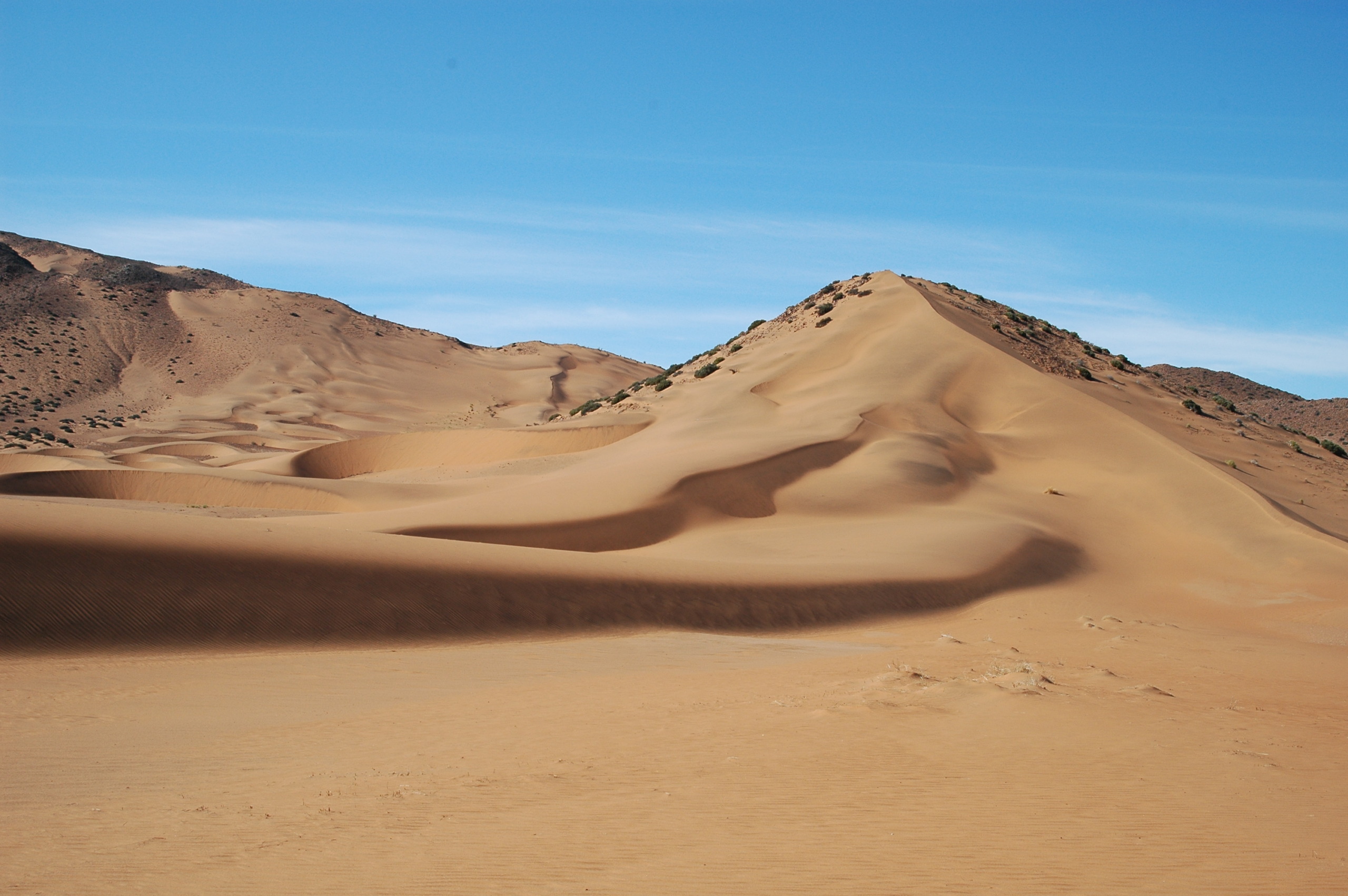 A vast desert landscape with rolling sand dunes under a clear blue sky. The dunes cast shadows and textures, while sparse vegetation is visible on some slopes. Occasionally, brown hyenas traverse this serene and expansive scene, adding life to the stark beauty.