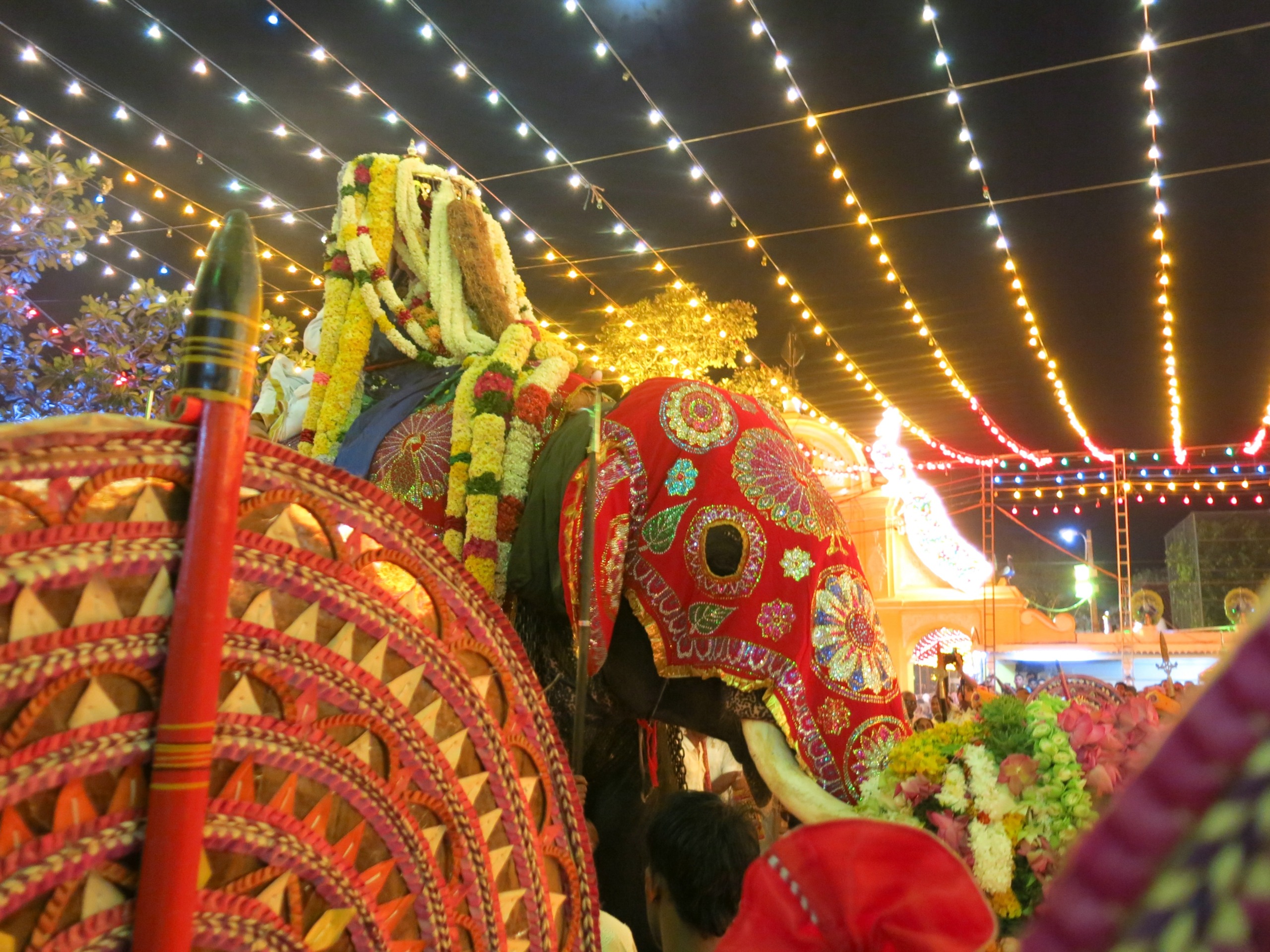 An elephant adorned with vibrant floral decorations and colorful blankets stands under strings of lights, capturing the essence of a Sri Lankan celebration. Nearby, ornate umbrellas complement the festive atmosphere, enhancing the celebratory mood of the event.