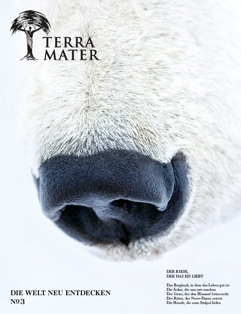 Close-up of a polar bears nose against a white background. The words Terra Mater appear at the top, with text offering insights beneath. German title at the bottom reads Die Welt Neu Entdecken Nr. 3.