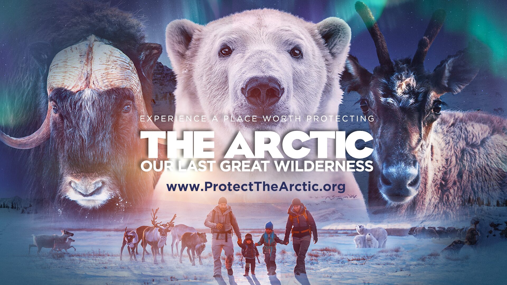 Collage featuring a polar bear, musk ox, and caribou under the aurora borealis on snow-covered terrain. A family in winter clothes walks below. Text reads: The Arctic: Our Last Great Wilderness. Explore more in our trailer release at www.ProtectTheArctic.org.