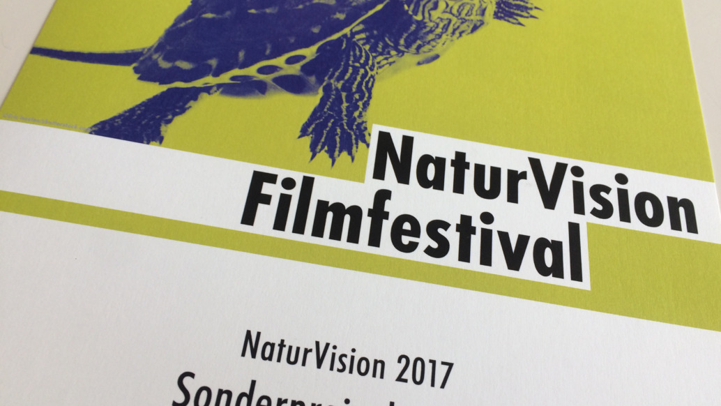 A program cover for the NaturVision Film Festival features a striking image of a turtle against a vibrant yellow background. The text reads: "NaturVision Filmfestival" and "2017 Special Prize - Islands in Time.