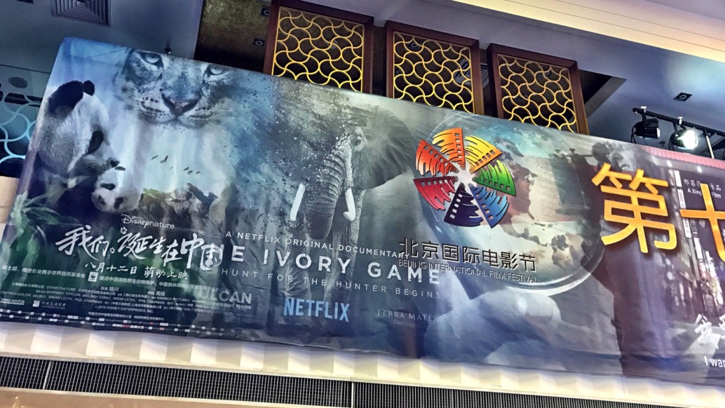 Inside the building, a large movie poster for The Ivory Game catches your eye. Featuring vibrant images of pandas, tigers, and elephants alongside Chinese text and logos, it's part of the Beijing International Film Festival display. The iconic Netflix logo adds to its allure.