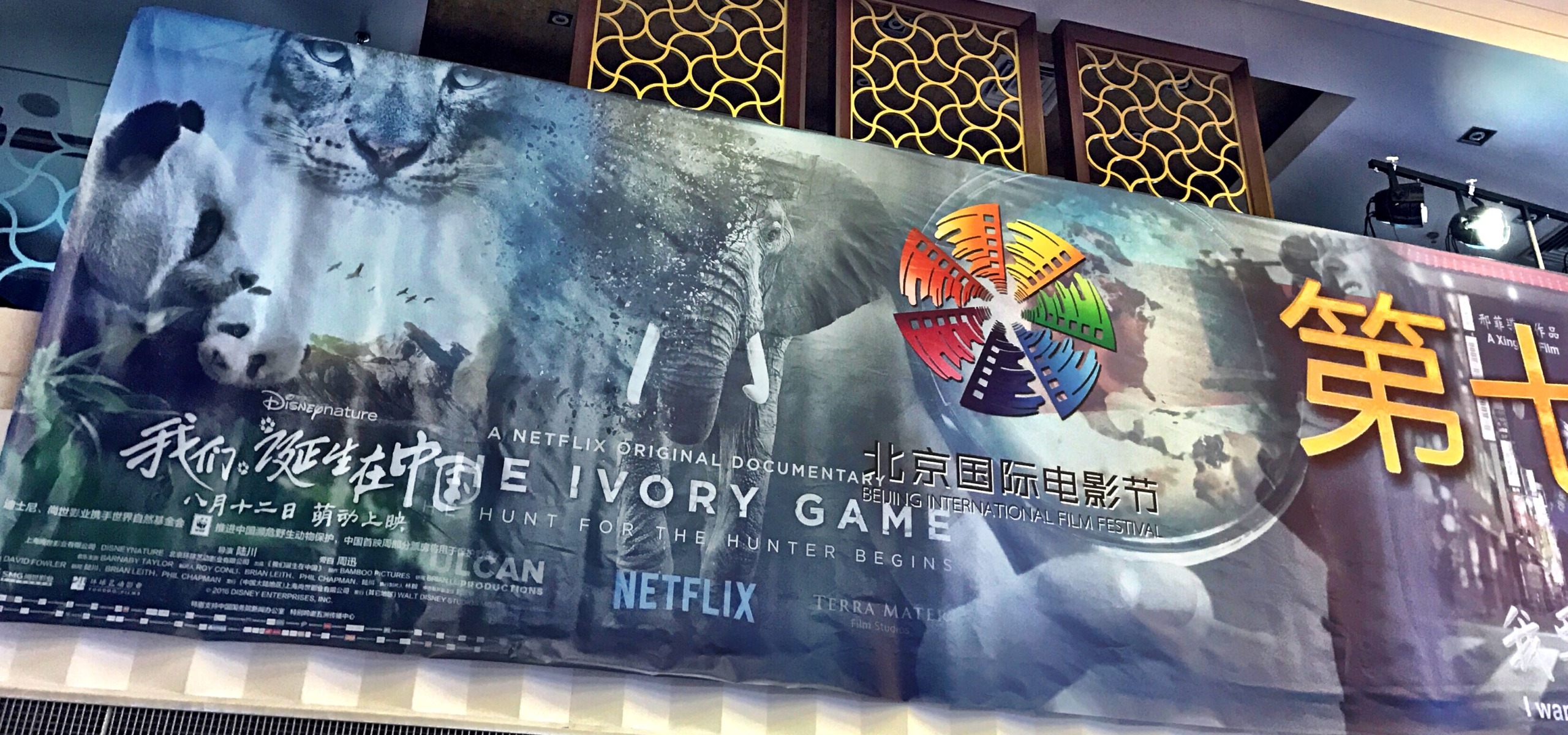 Inside the building, a large movie poster for The Ivory Game catches your eye. Featuring vibrant images of pandas, tigers, and elephants alongside Chinese text and logos, it's part of the Beijing International Film Festival display. The iconic Netflix logo adds to its allure.