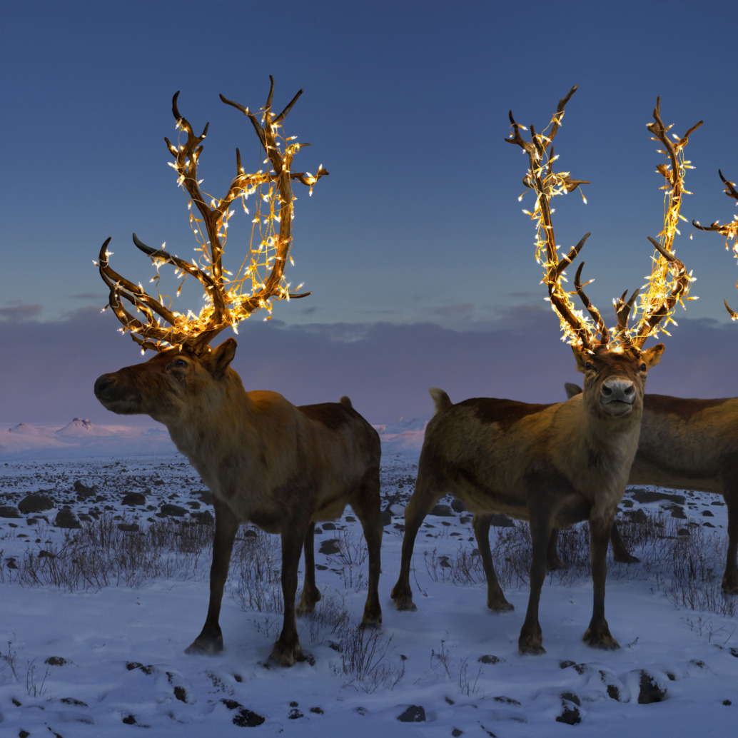 Three reindeer stand in a snowy landscape at dusk, each with antlers adorned with sparkling lights. Snow-covered plains and distant mountains create a breathtaking holiday scene under a deep blue sky, blending the magic of nature with the spirit of Christmas.