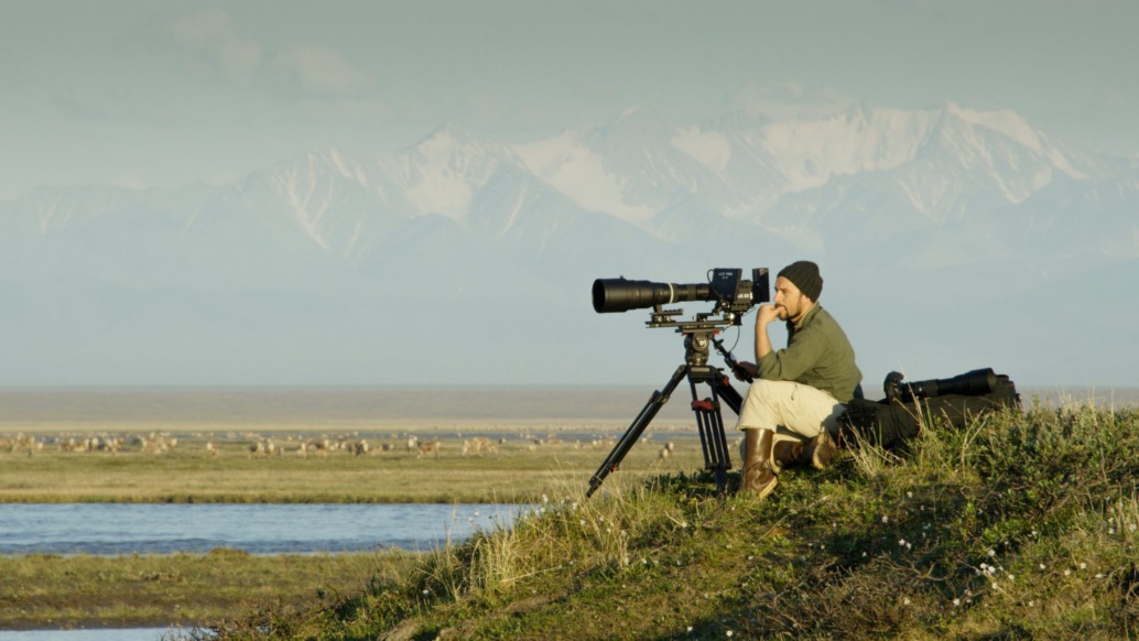 A person with a hat sits on a grassy hill beside an IMAX® camera on a tripod, overlooking America's Arctic landscape with a herd of animals in the distance. Snow-capped mountains rise under the clear sky.