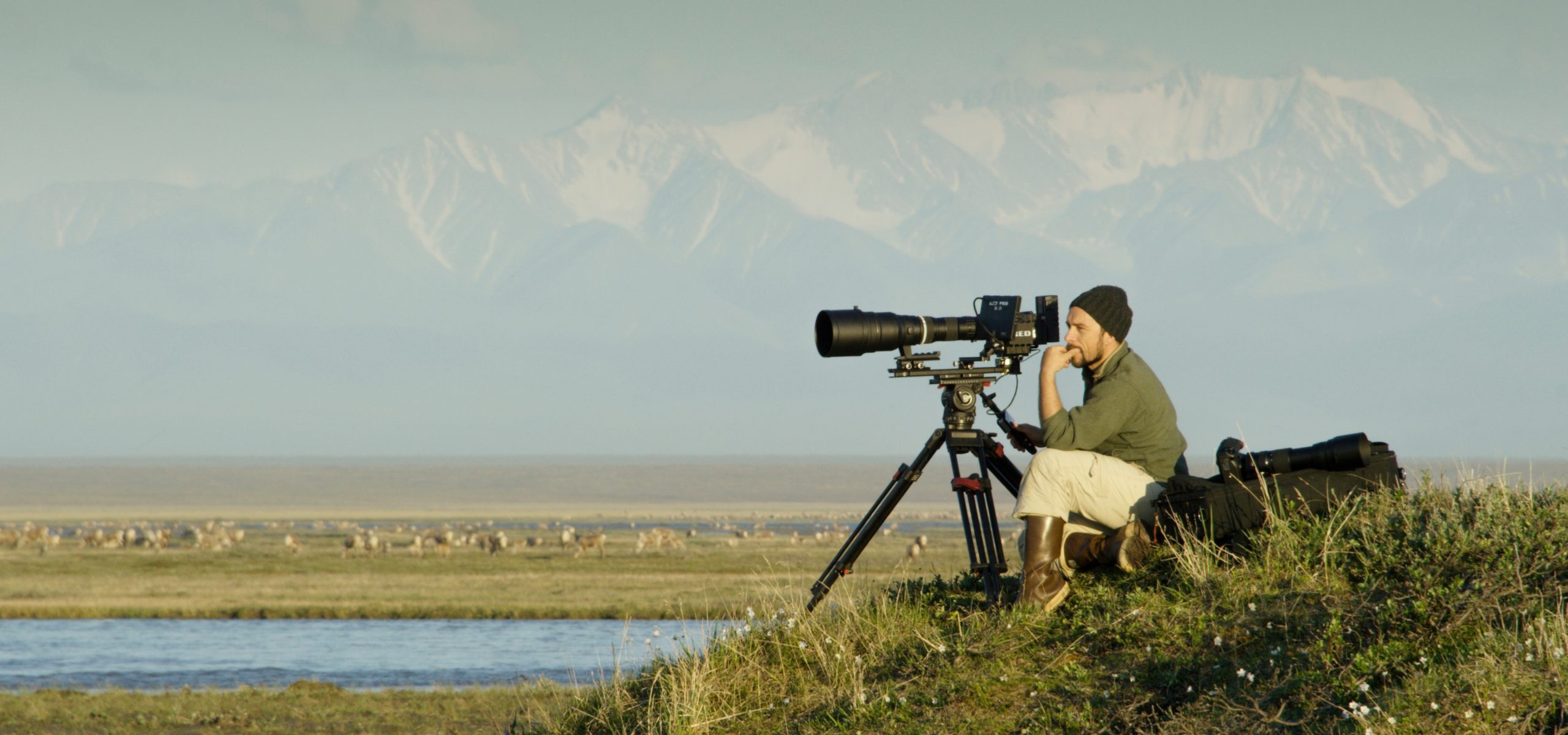 A person with a hat sits on a grassy hill beside an IMAX® camera on a tripod, overlooking America's Arctic landscape with a herd of animals in the distance. Snow-capped mountains rise under the clear sky.