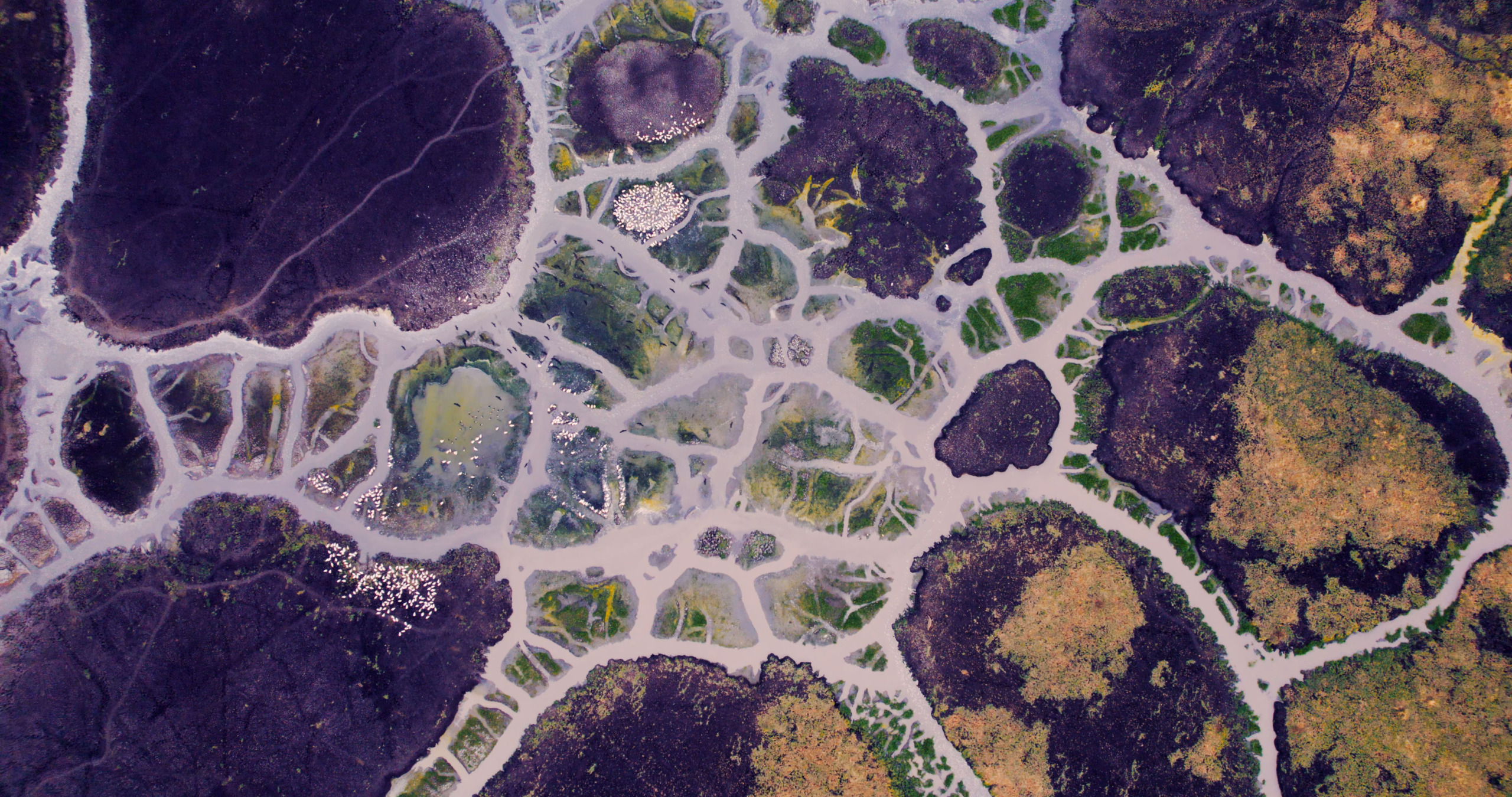 An aerial view of Katavi reveals a landscape with abstract patterns of dark purple and brown patches, intersected by white and green channels that resemble a mosaic or network of interconnected shapes.