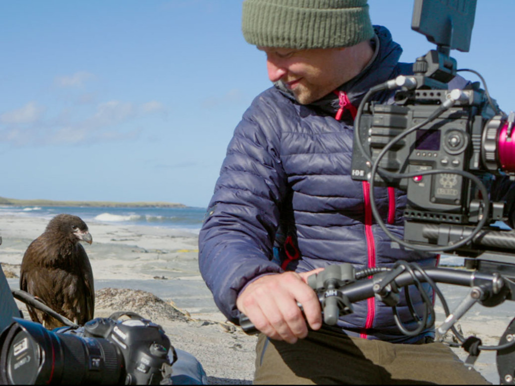 Cameraman on the beach looking at a bird of prey that is sitting on his camera equipment