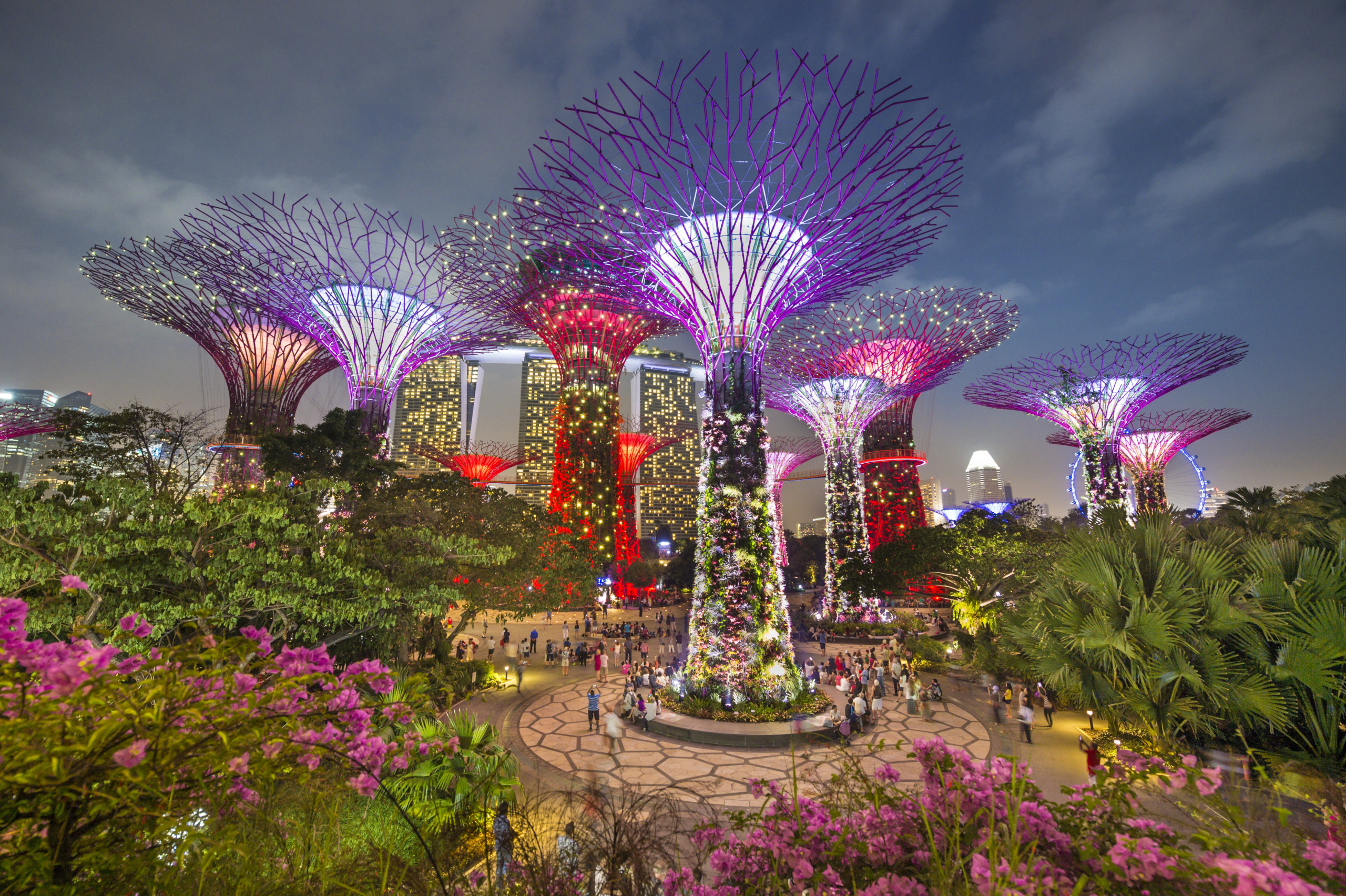 Colorful, illuminated Supertree structures in Singapore's Gardens by the Bay at dusk resemble Nature’s blueprints. The sky is darkening, and people gather around the towering trees, surrounded by lush greenery and pink flowers.