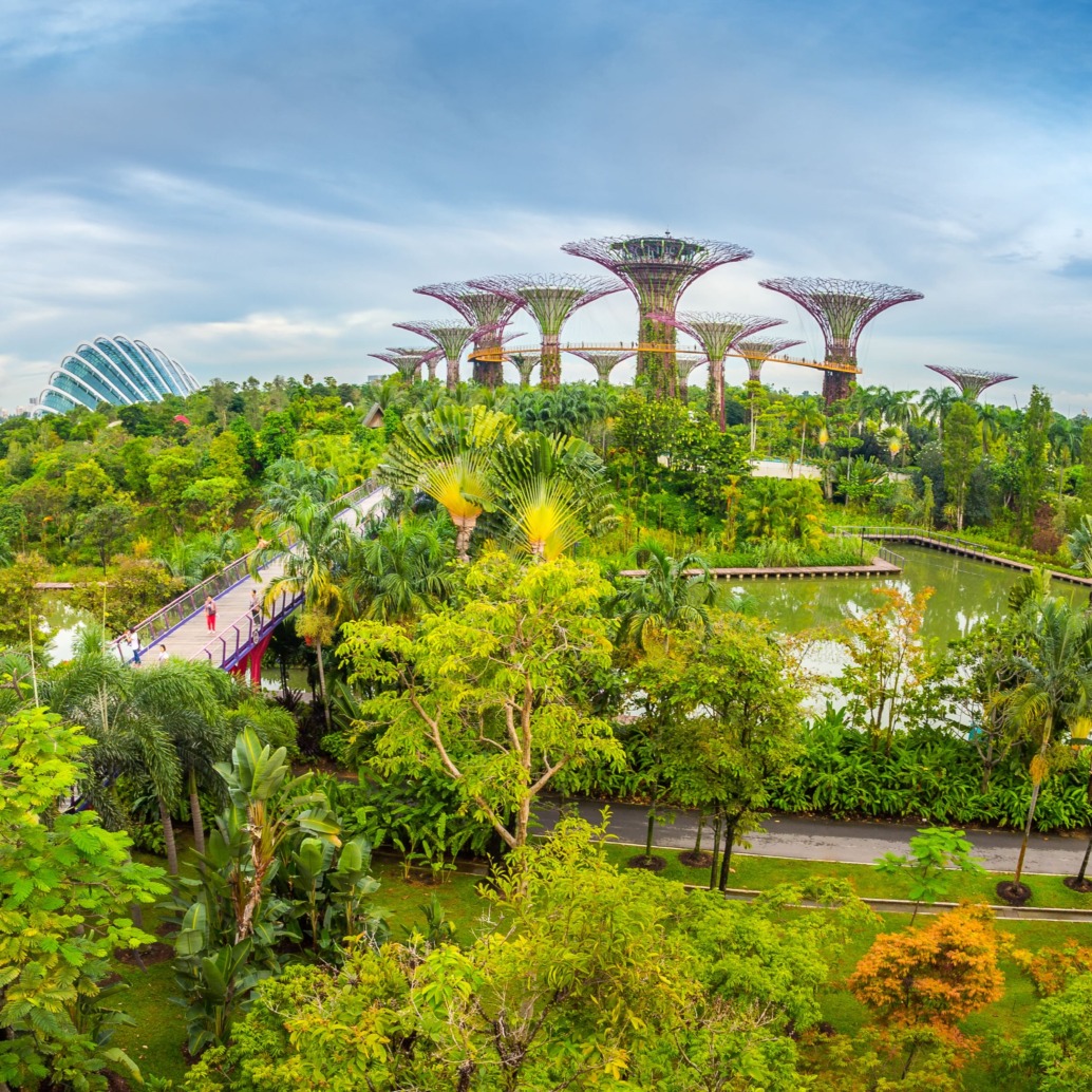 A lush, green park in Singapore with diverse plant life and futuristic, tree-like structures under a blue sky. Perfect for a wild day out, walkways meander through the garden, and domed greenhouses are visible in the background, blending nature and modern architecture.