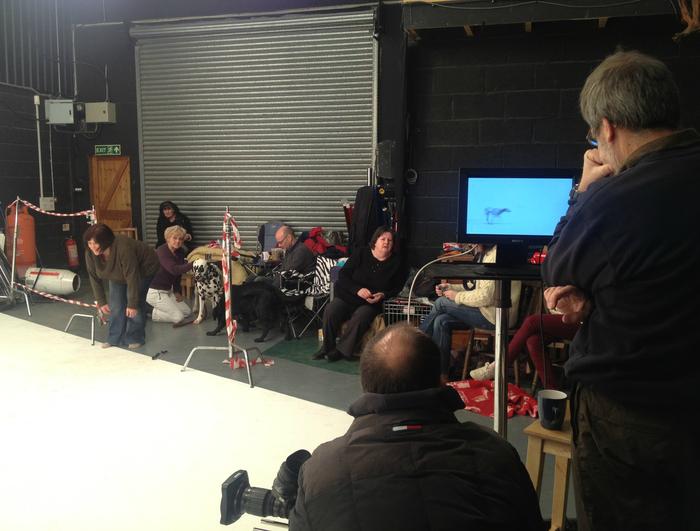 People are seated and standing around a studio space, some engrossed in an 'Unnatural Selection' screen displaying an animal in motion. The setting has a casual atmosphere, with visible equipment suggesting a behind-the-scenes glimpse into an informal planning session.