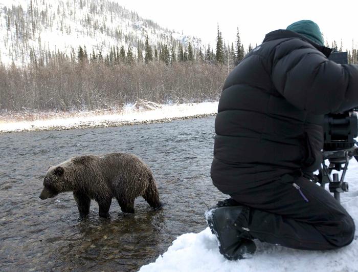 Director and cameraman Jeff Turner filming a grizzly