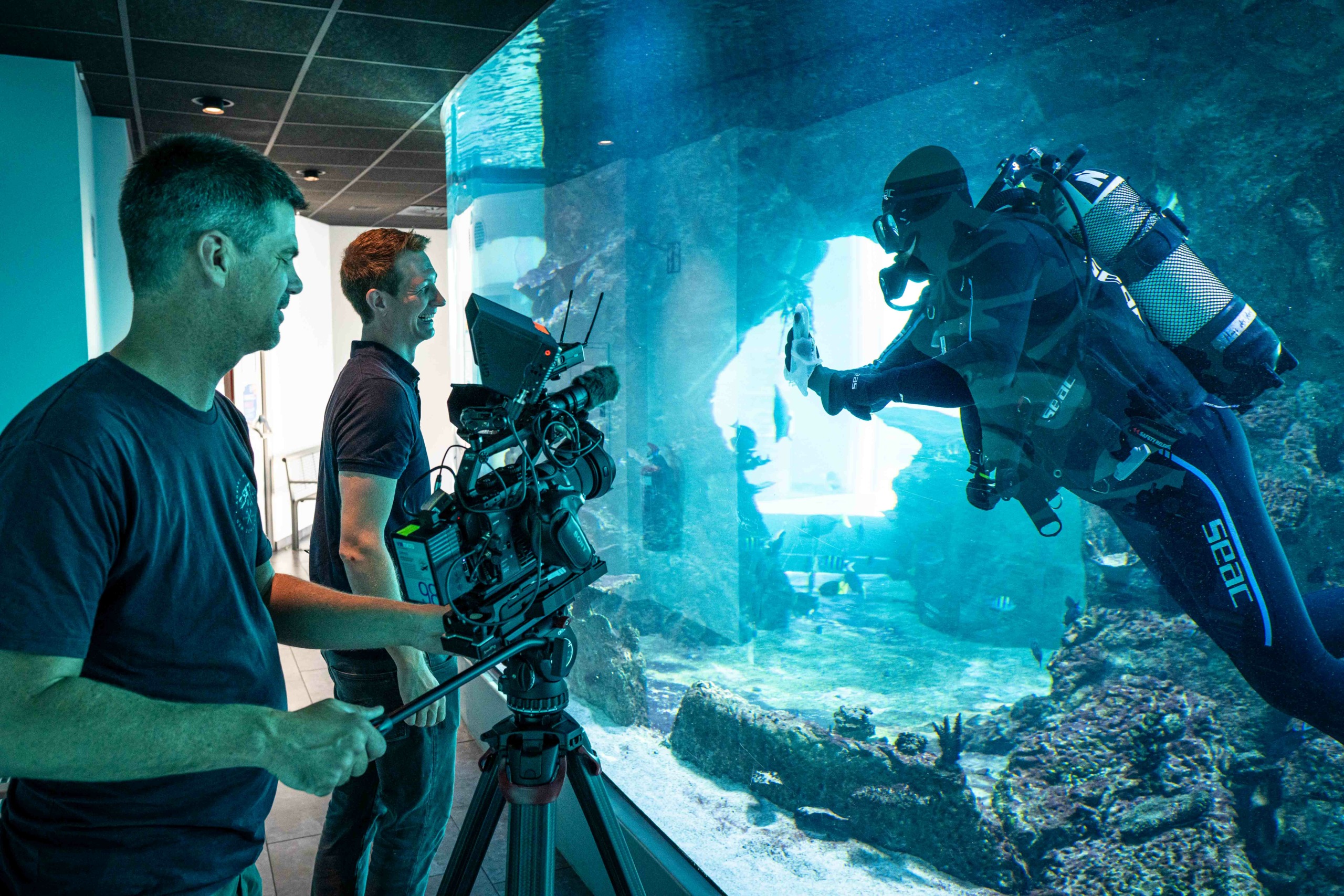 A cameraman films a scuba diver inside a large aquarium tank. Another person stands nearby watching the scene. The diver appears to be interacting with something in the tank, surrounded by underwater flora.