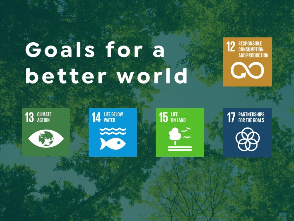 Infographic titled "Goals for a Better World" highlights Sustainable Development Goals: 12 (Responsible Consumption and Production), 13 (Climate Action), 14 (Life Below Water), 15 (Life on Land), and 17 (Partnerships for the Goals) set against a vibrant green leafy background, inspiring green business practices.